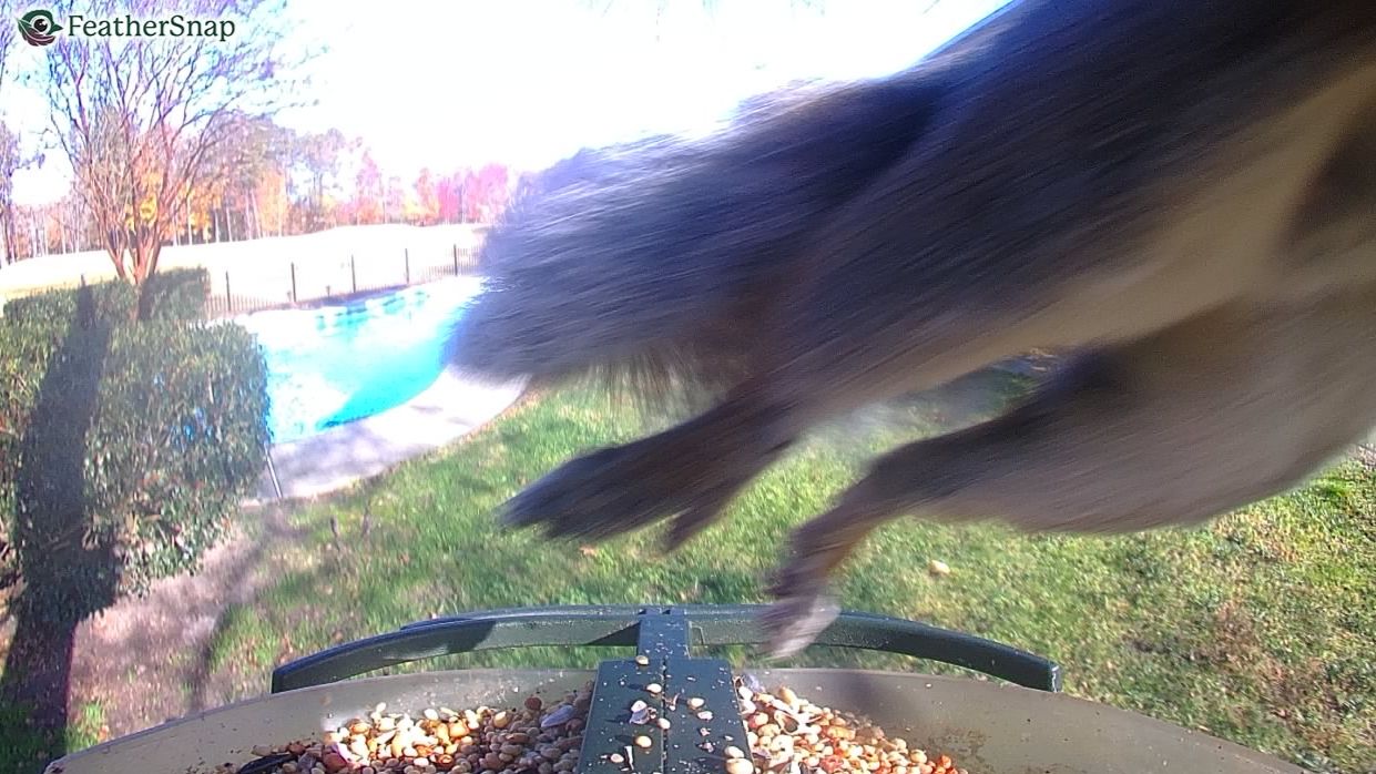 Community photo by Mark Wralstad | Virginia Beach, VA, USA