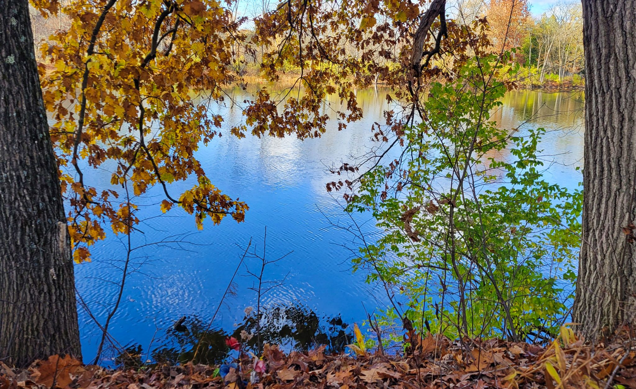 Community photo by Lorraine