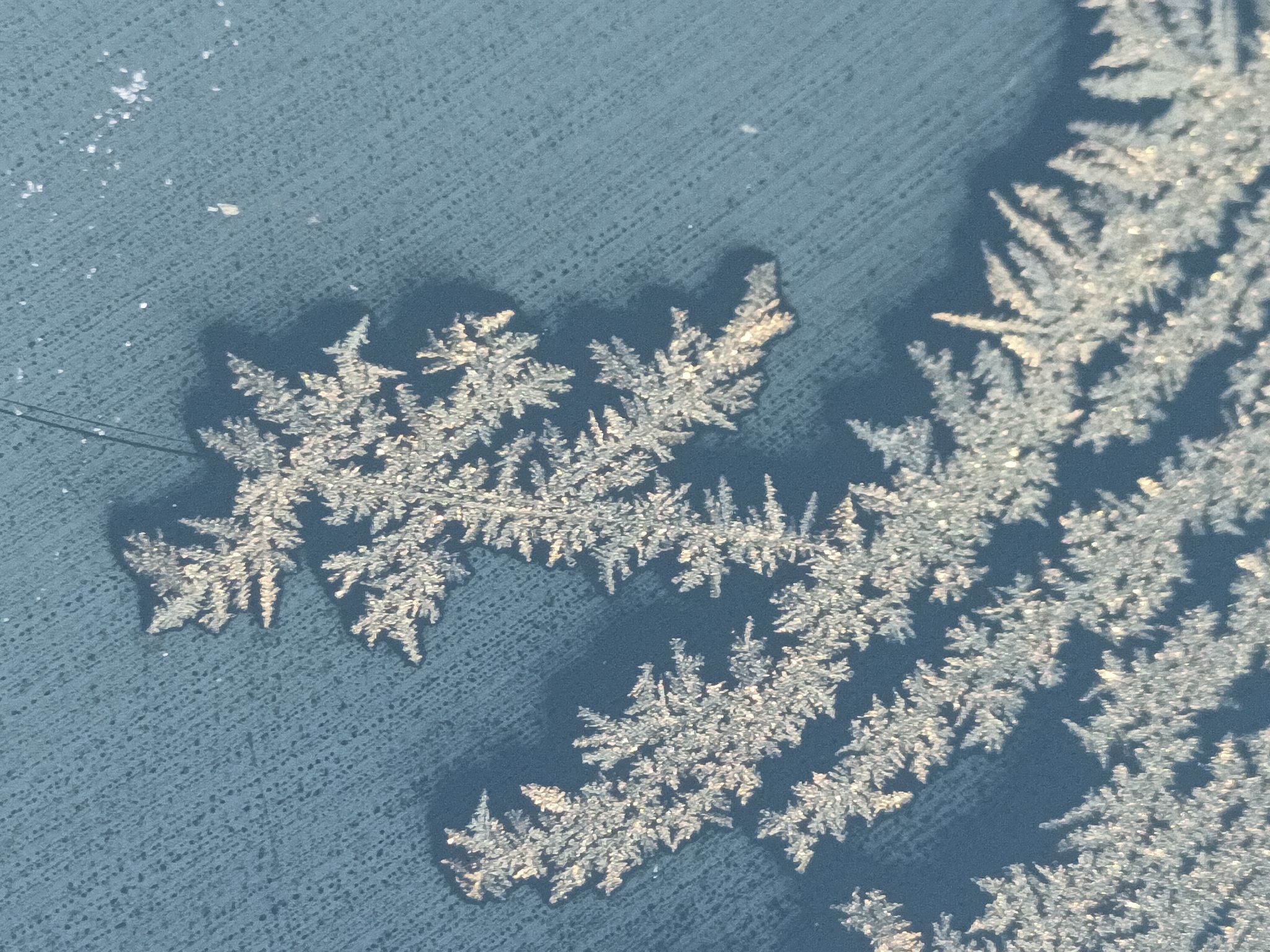 Community photo by Karen