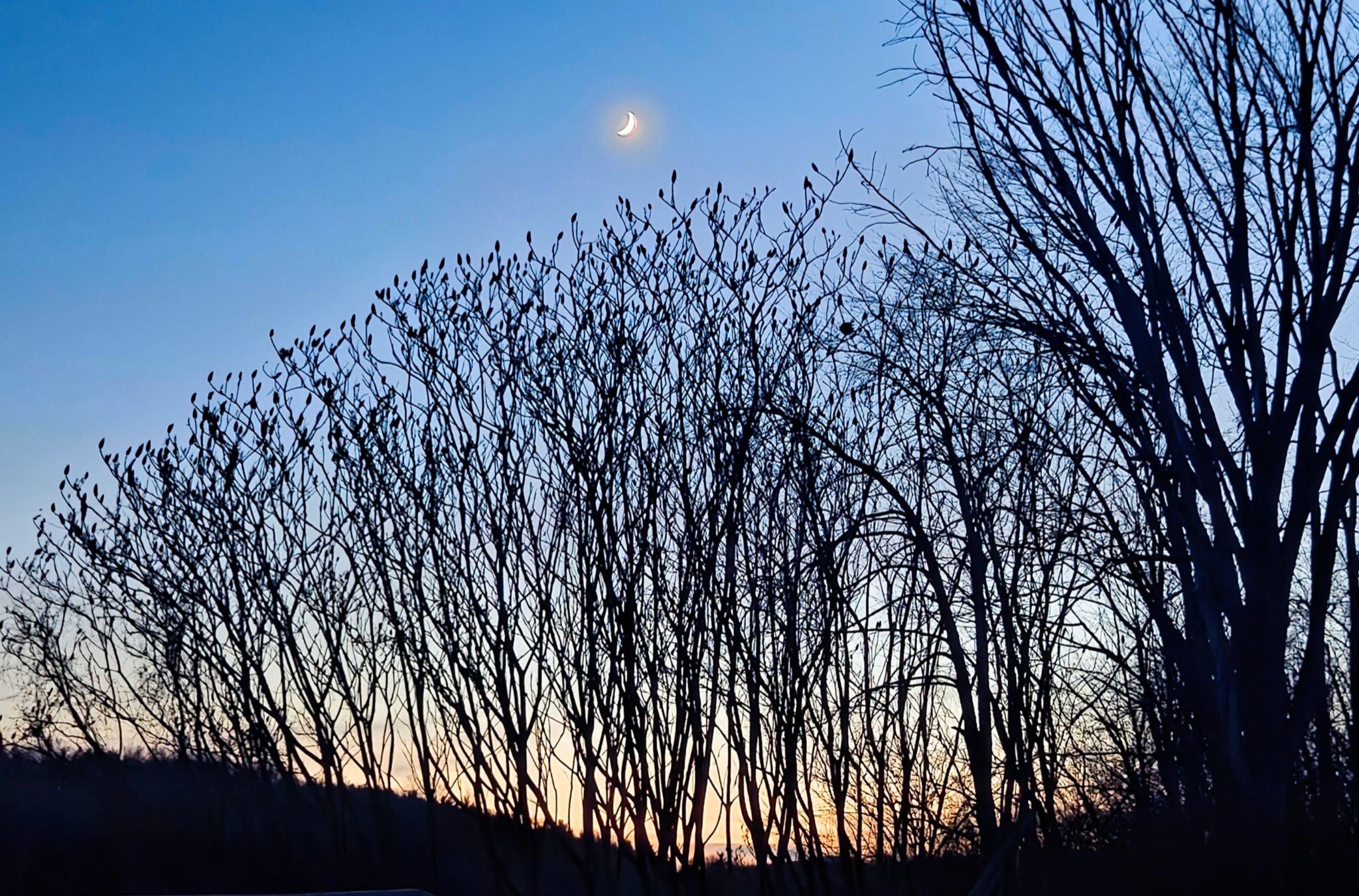 Community photo by Lorraine