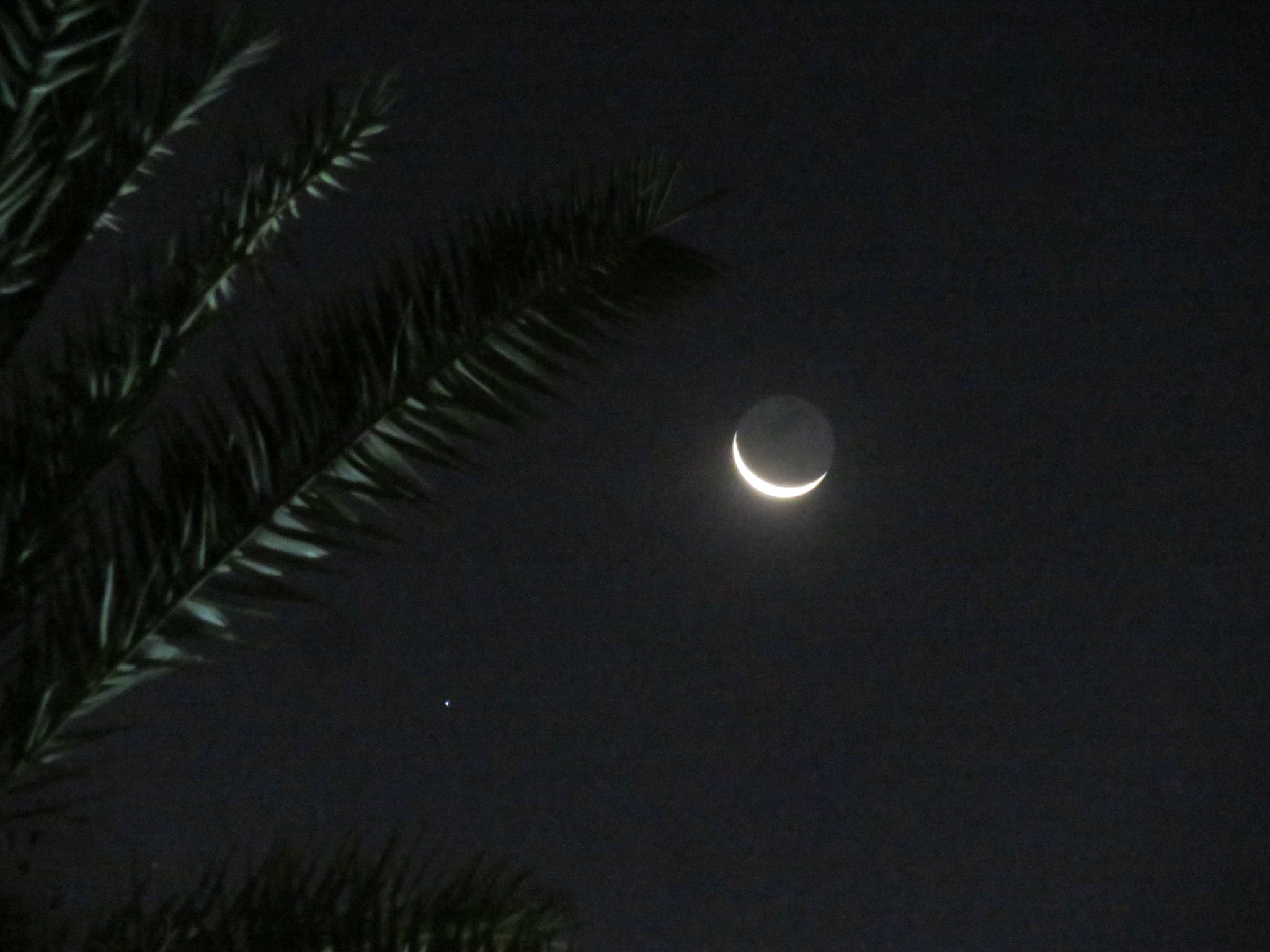 Community photo by Mohamed Mohamed | Tripoli,Libya