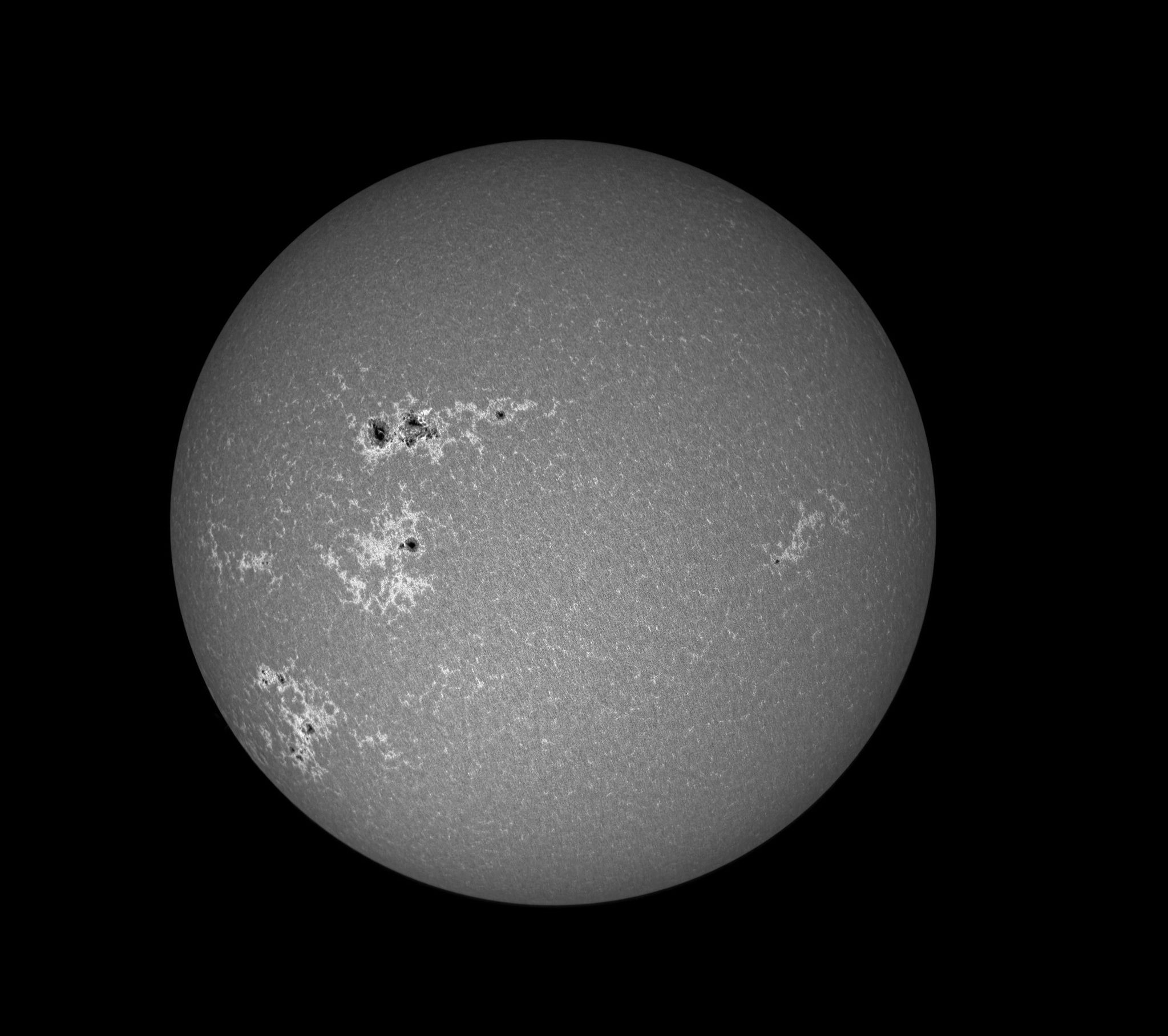 Community photo by Eliot Herman | Tucson, AZ