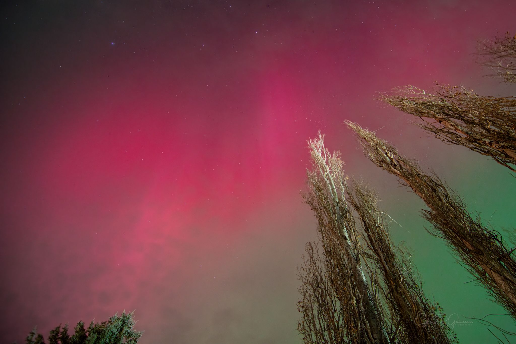 Community photo by Sheryl R Garrison | Southern Alberta, Canada