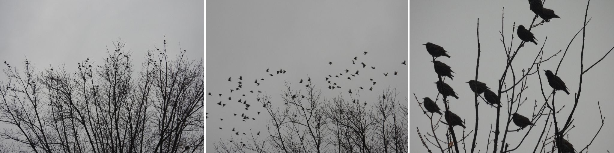 Community photo by Nina