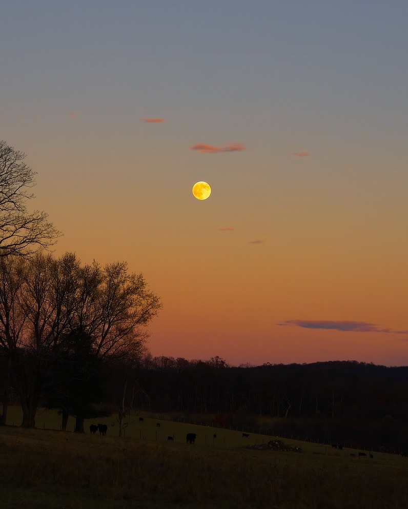 Community photo by Don