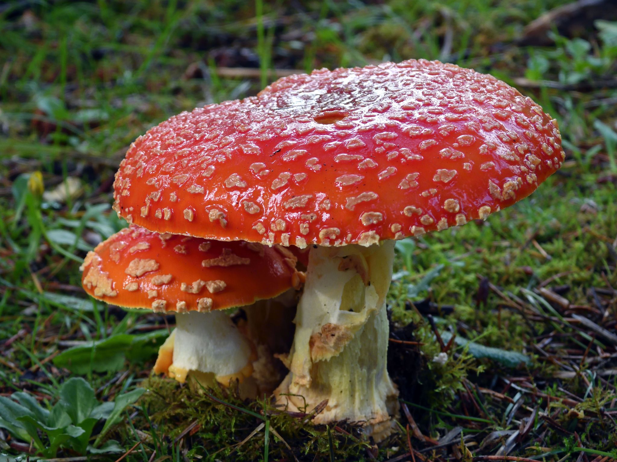 Community photo by Cecille