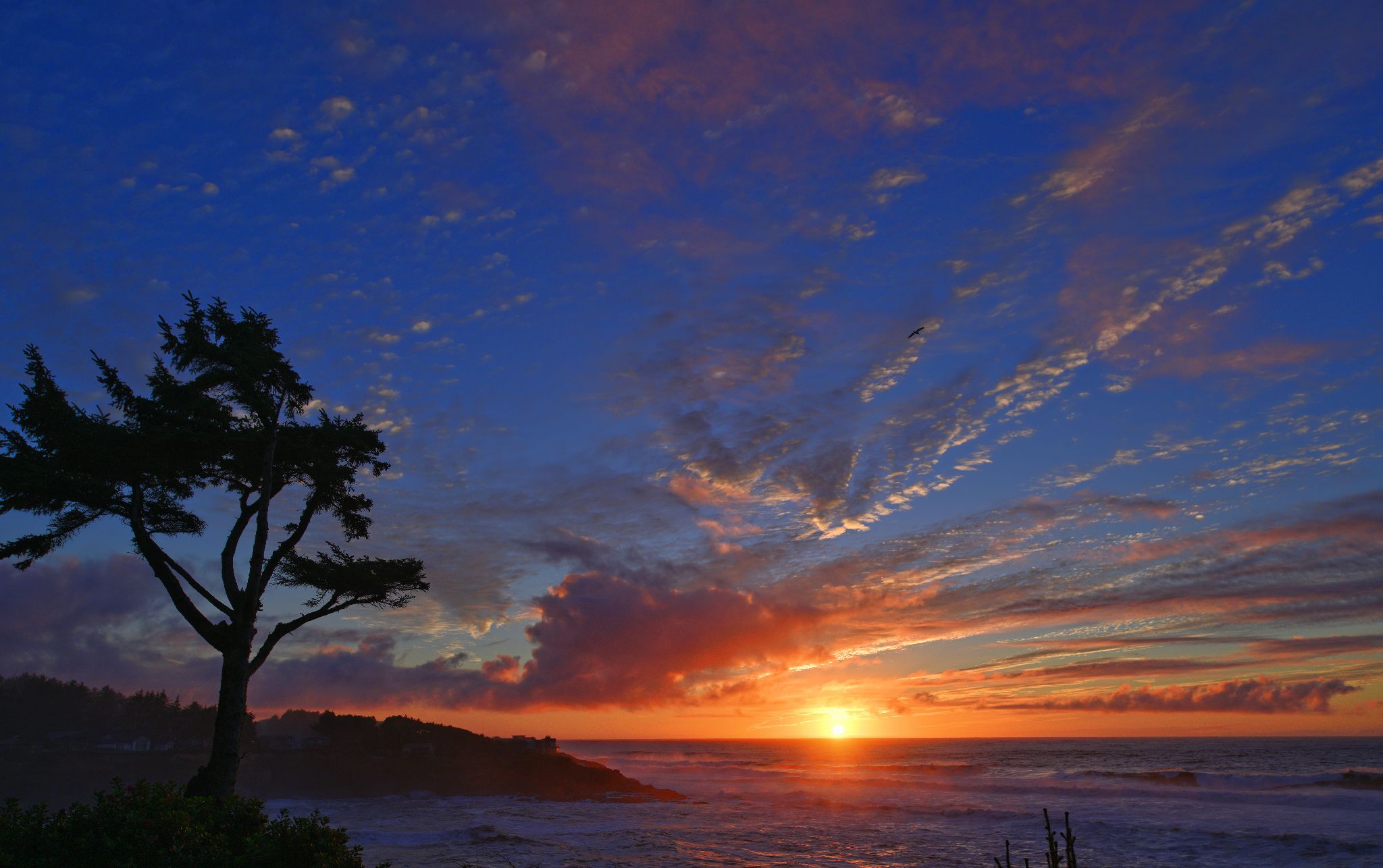 Community photo by Cecille