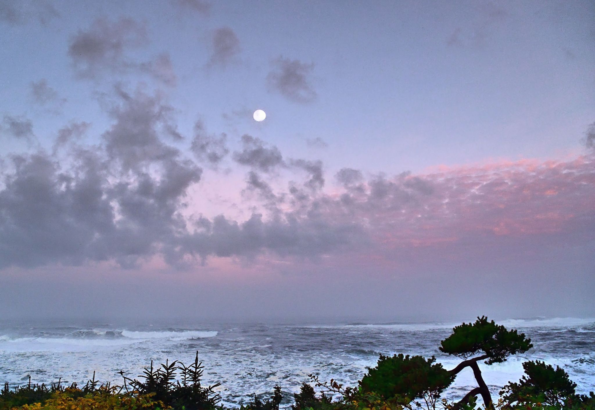 Community photo by Cecille