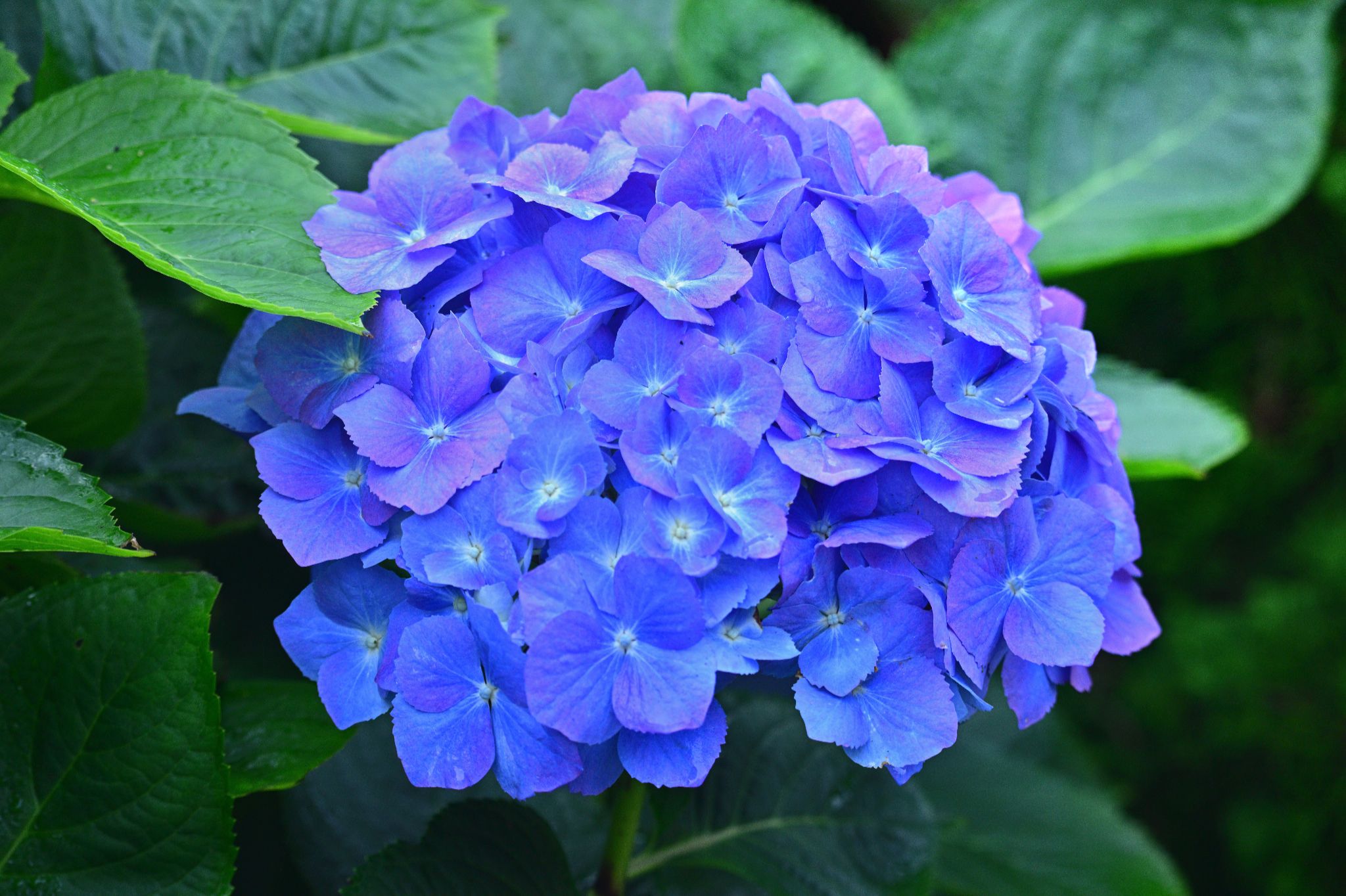 Community photo by Cecille