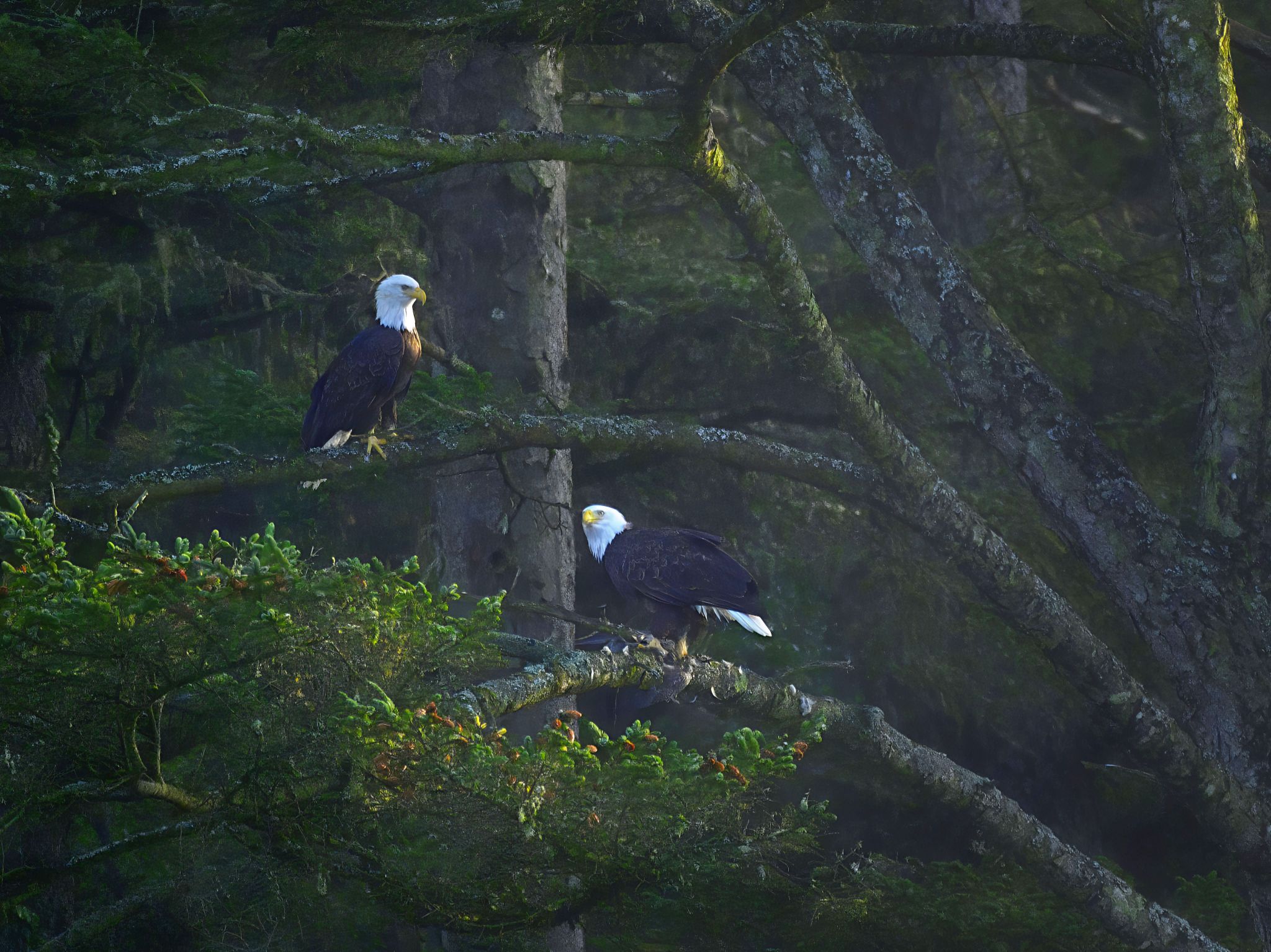 Community photo by Cecille Kennedy | Pirate Cove, Oregon