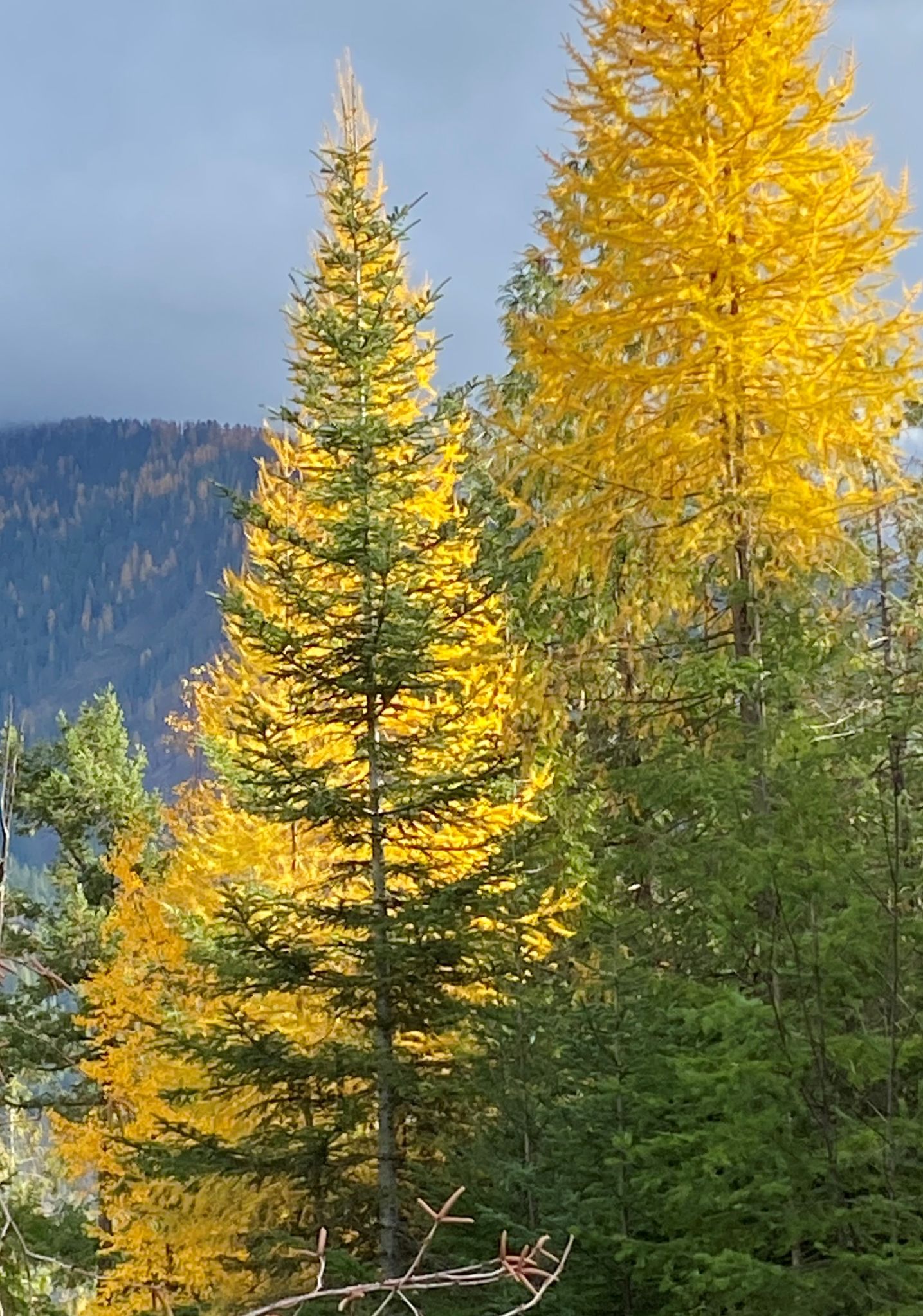 Community photo by Mac