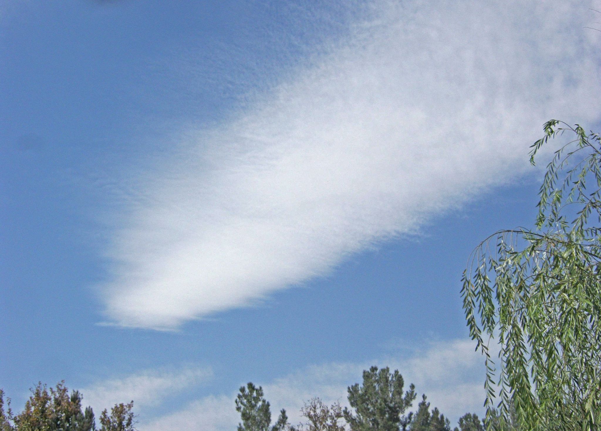 Community photo by Hassan