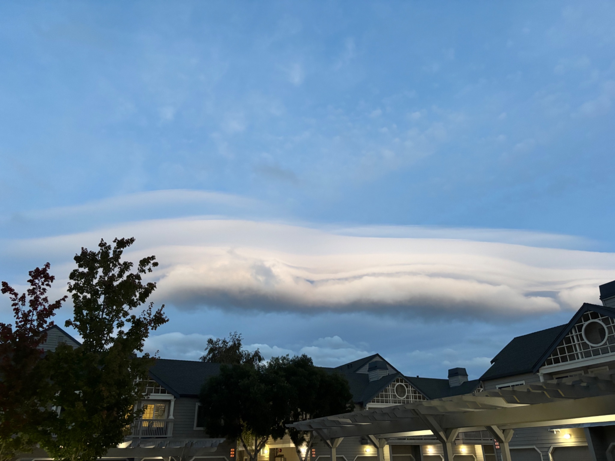 Community photo by Jen Poston | Belmont, CA