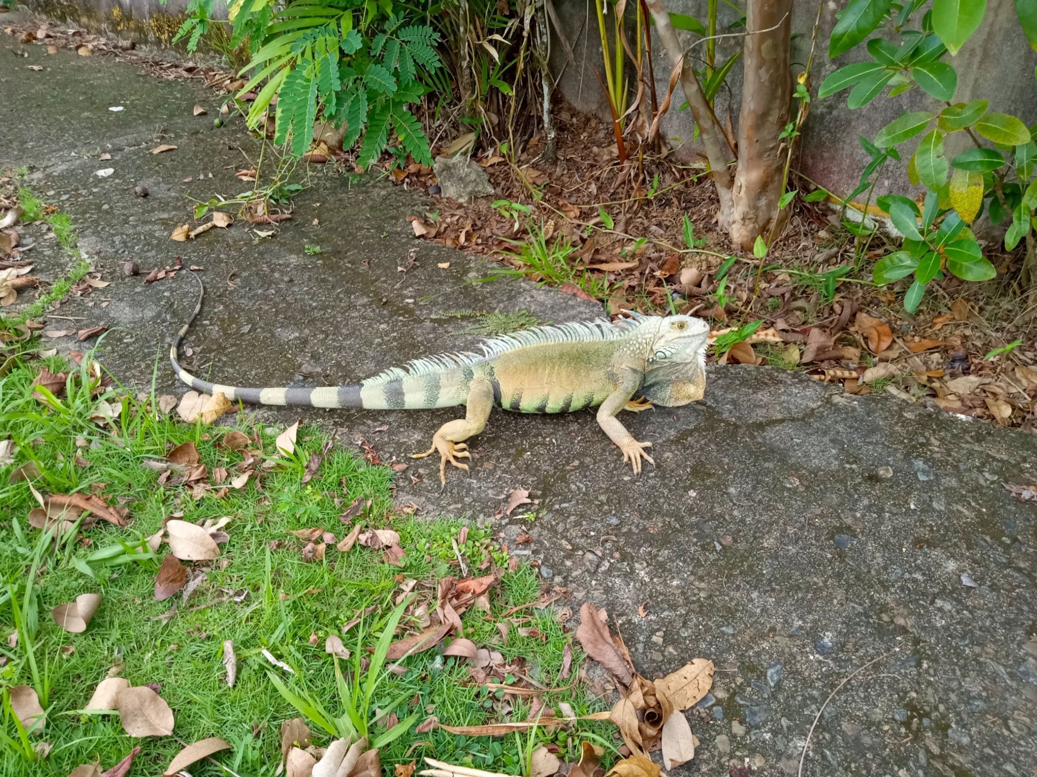 Community photo by Armando Caussade | San Juan, Puerto Rico