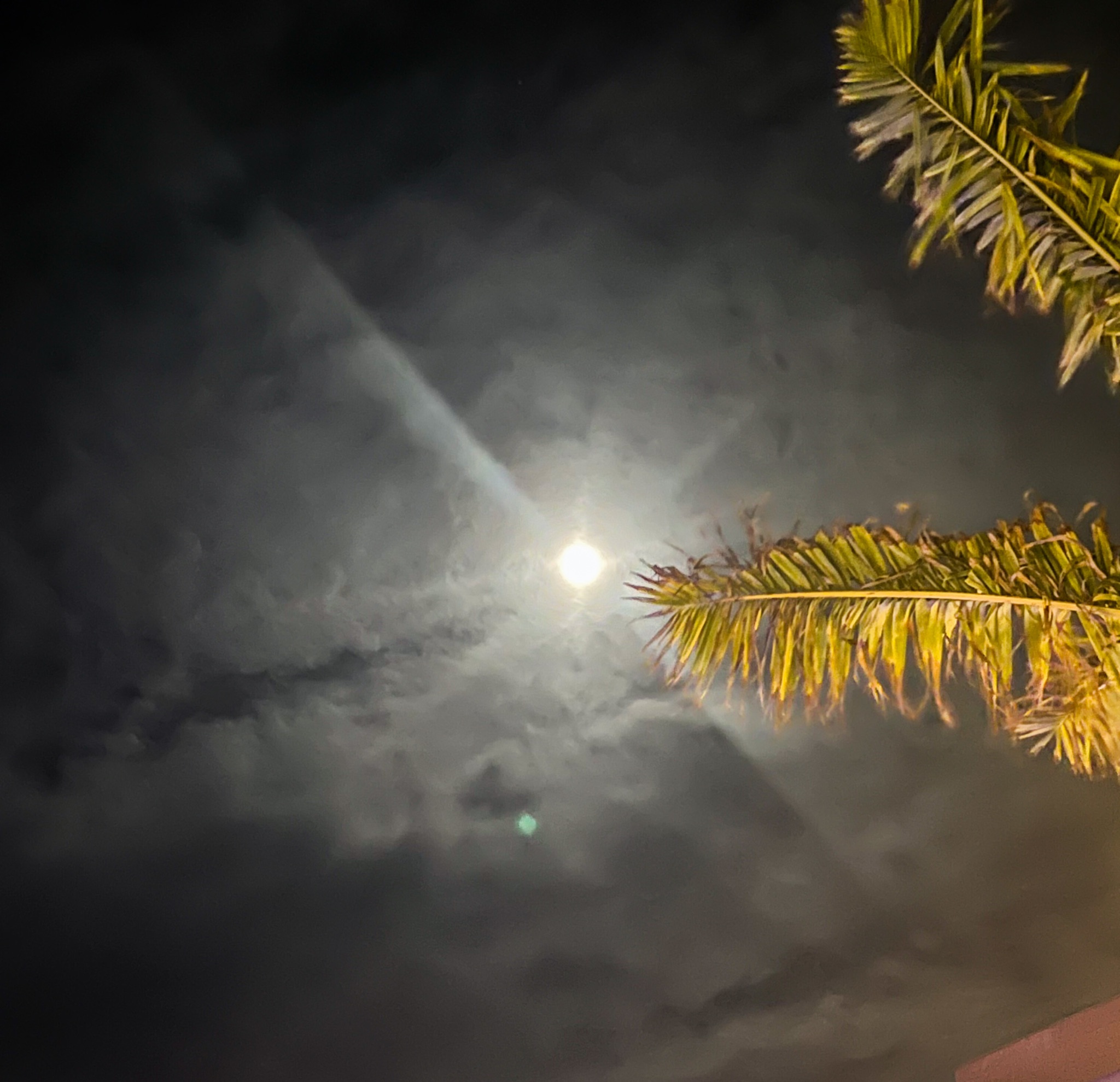 Community photo by Stephen