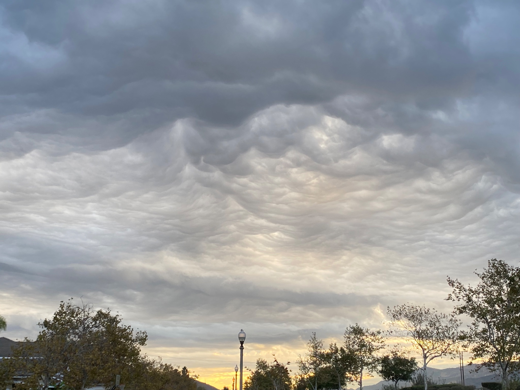 Community photo by Frank