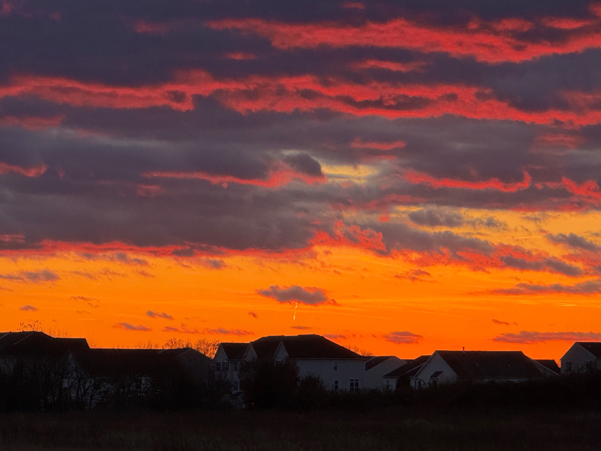 Community photo by Paulette Haws | Smyrna, DE, USA