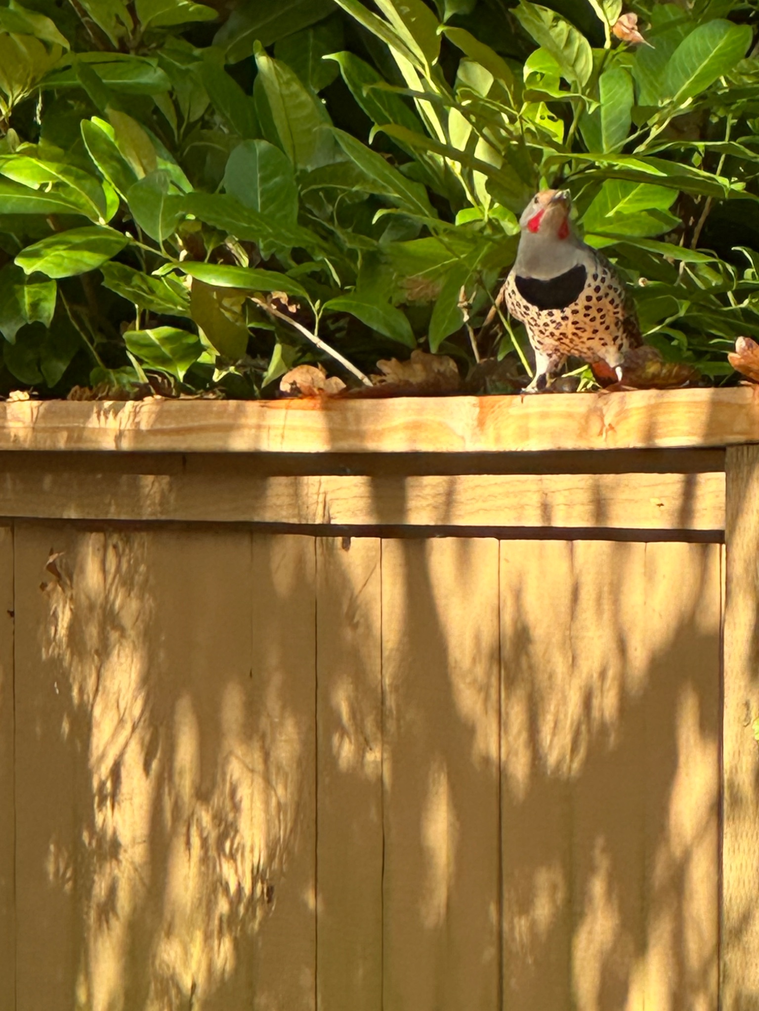 Community photo by Victoria Bryhan | Corvallis, Oregon