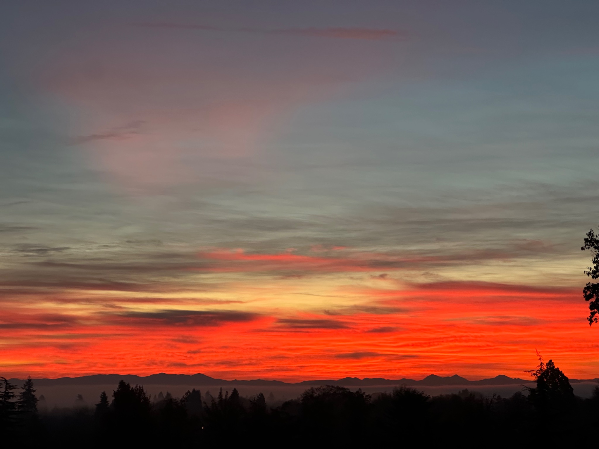 Community photo by Victoria Bryhan | Corvallis, Oregon