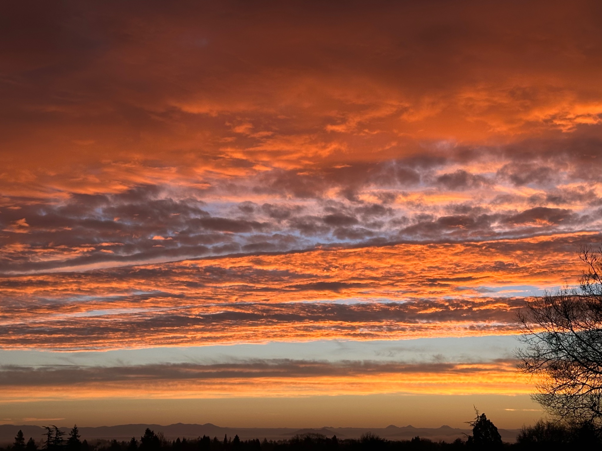 Community photo by Victoria Bryhan | Corvallis, Oregon