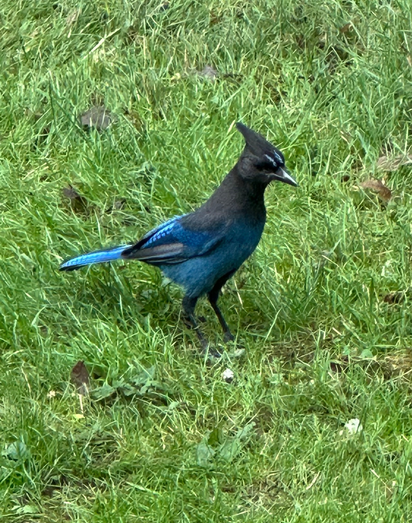 Community photo by Victoria Bryhan | Corvallis, Oregon