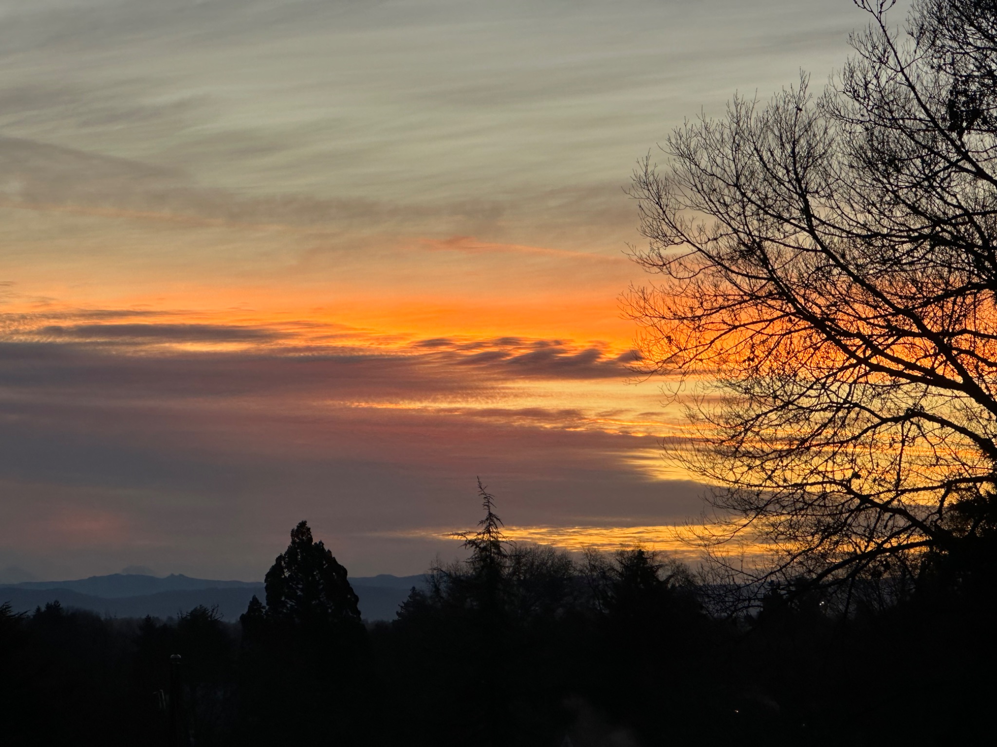 Community photo by Victoria Bryhan | Corvallis, Oregon