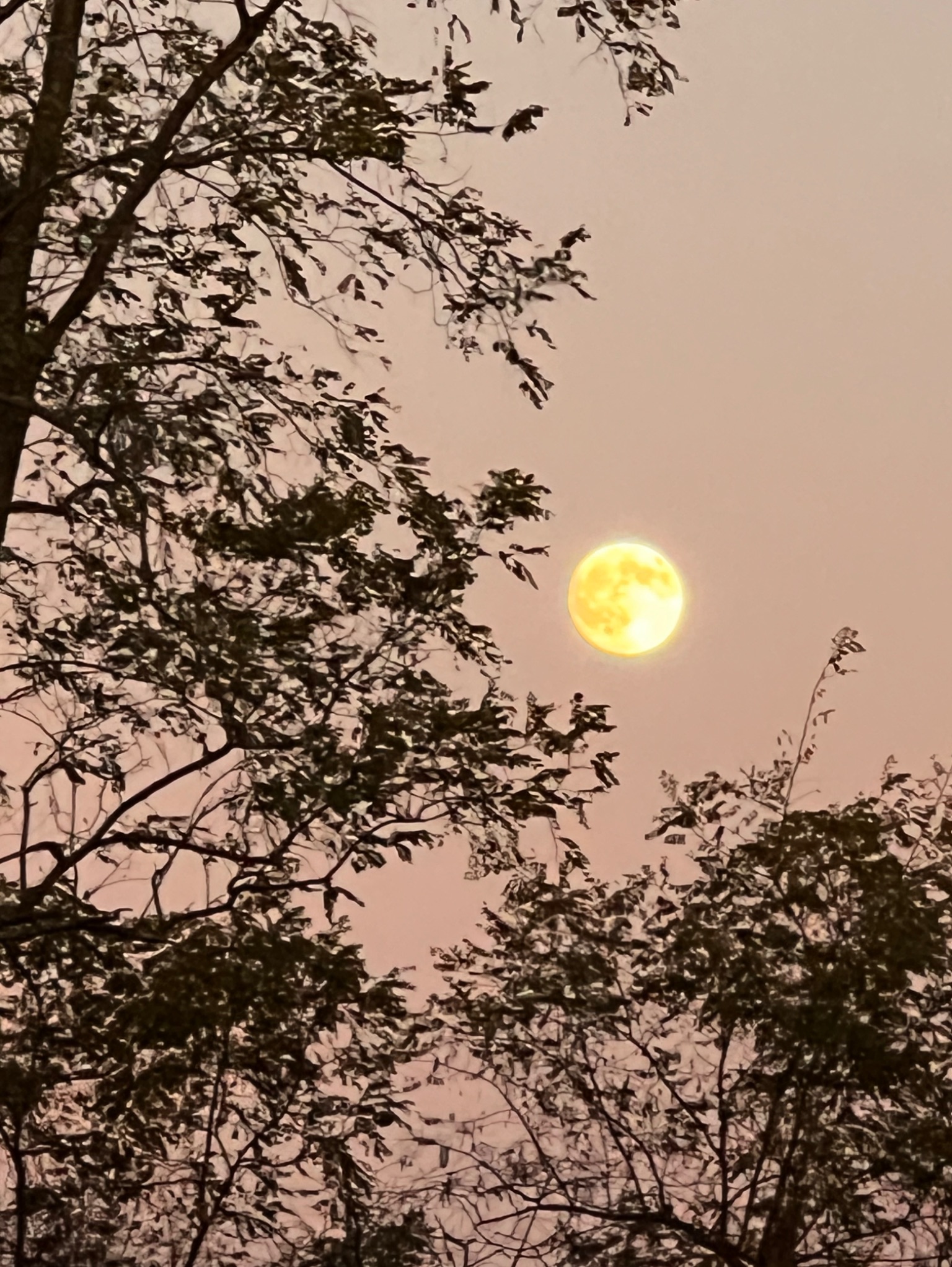 Community photo by Sudhir