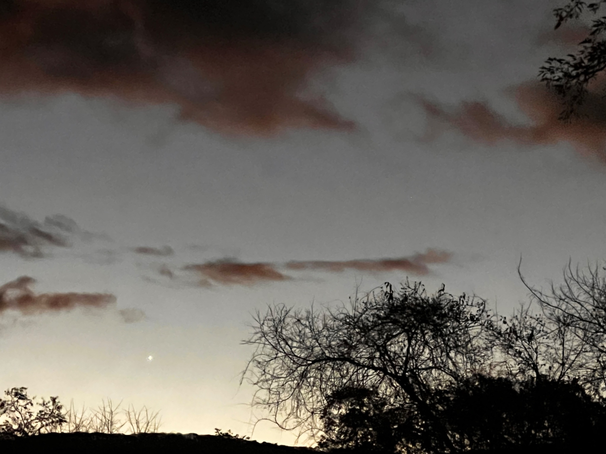 Community photo by Sudhir Sharma | Stormville, NY