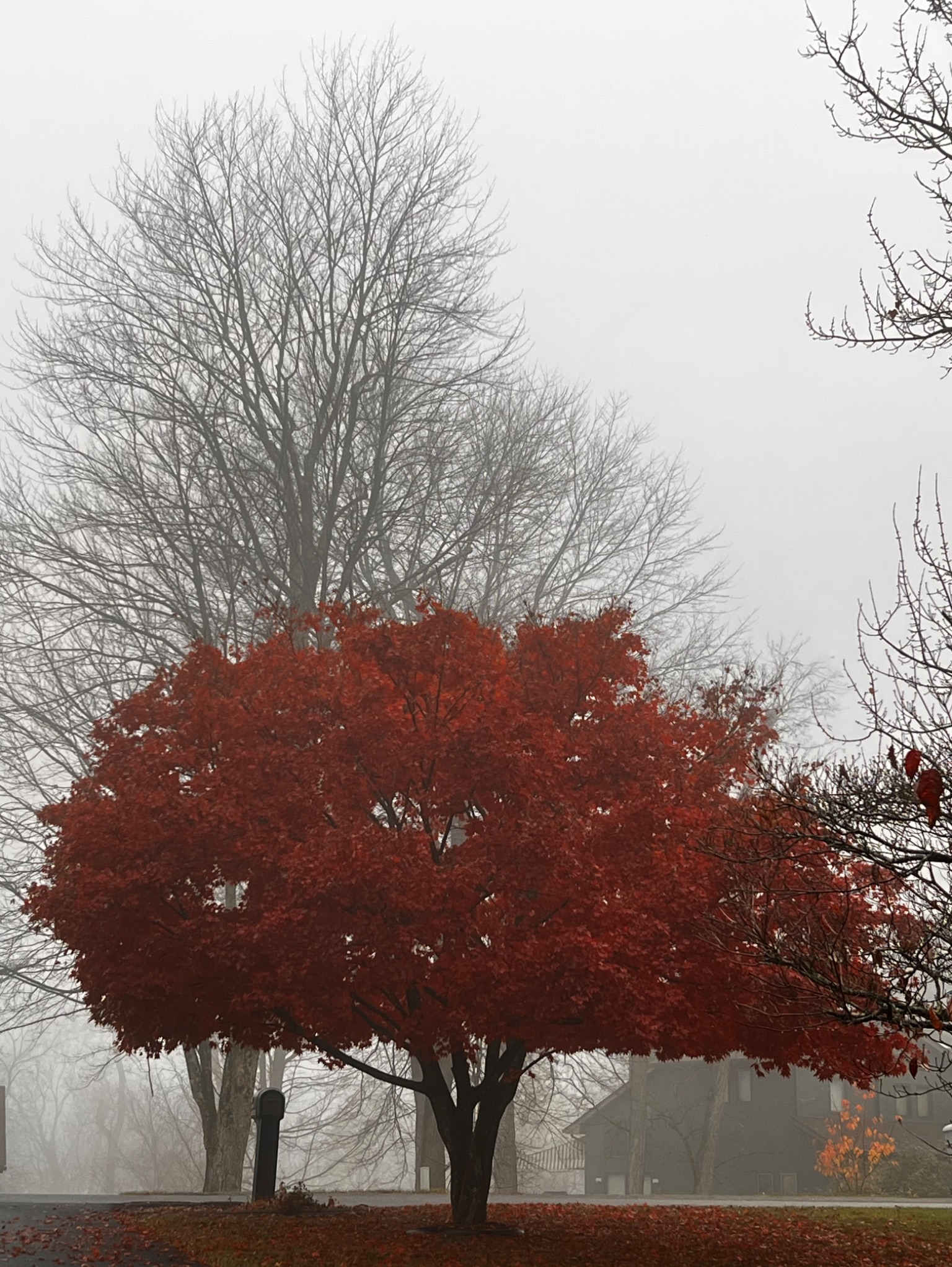 Community photo by Sudhir