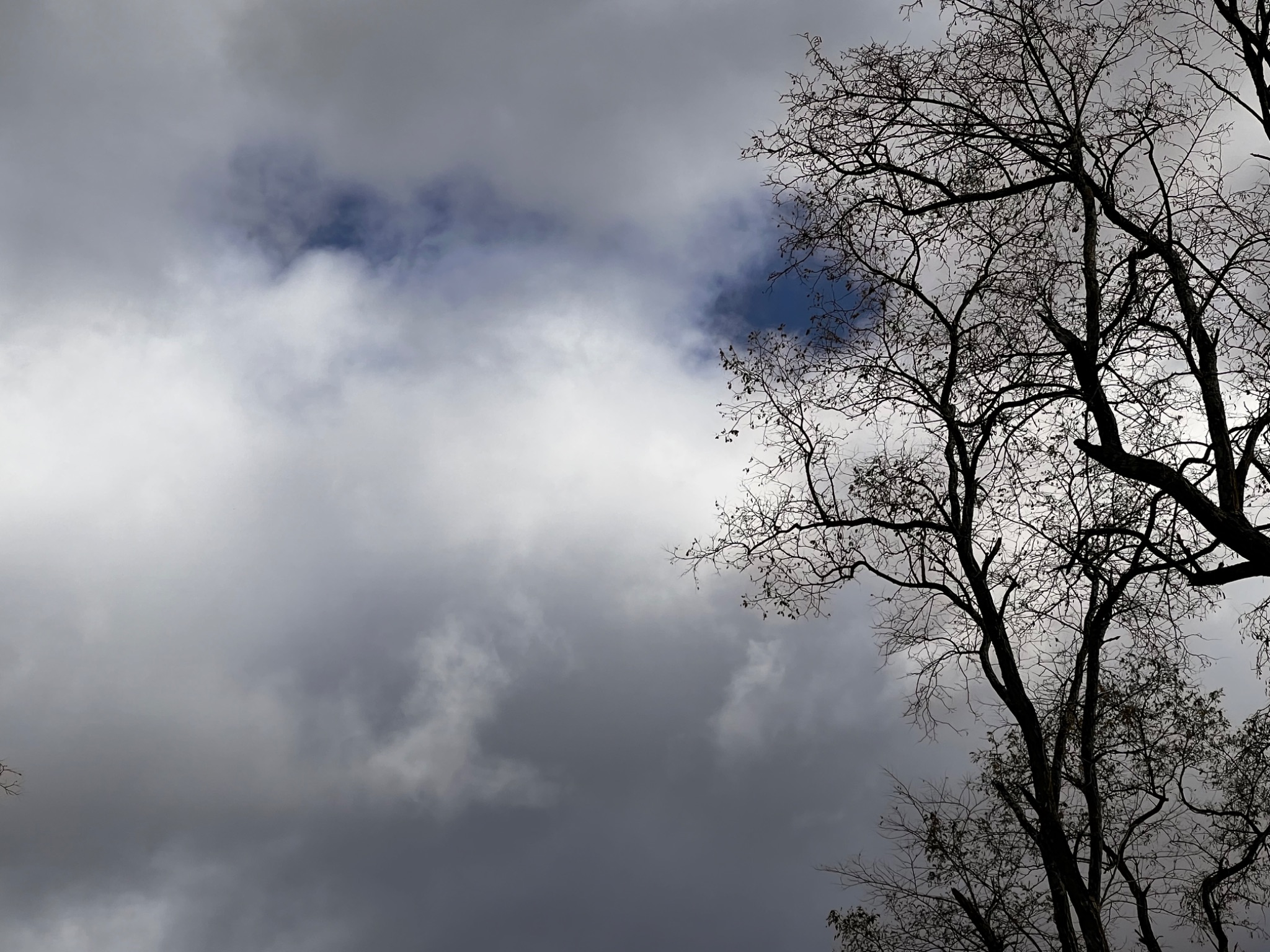 Community photo by Sudhir