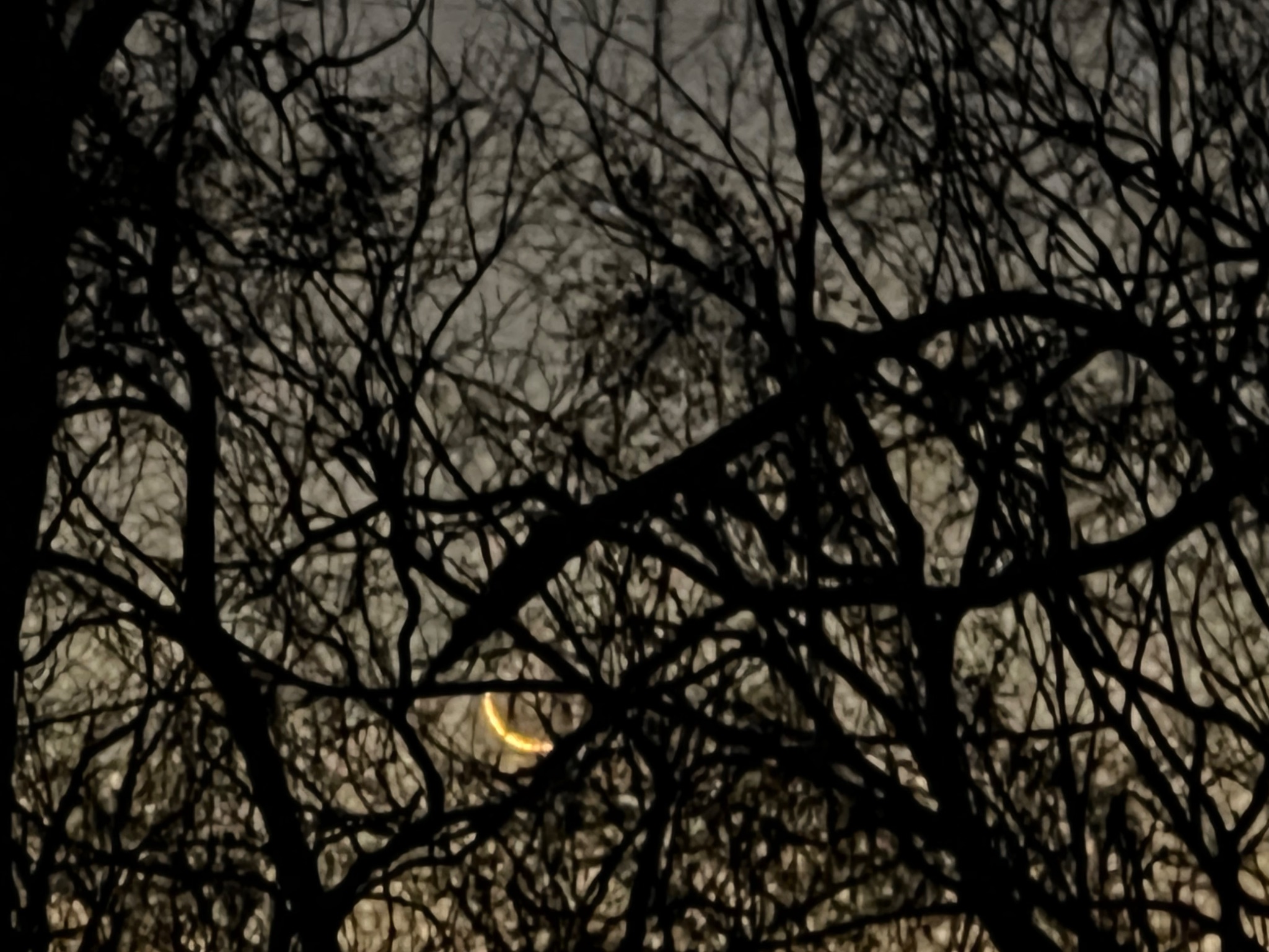 Community photo by Sudhir