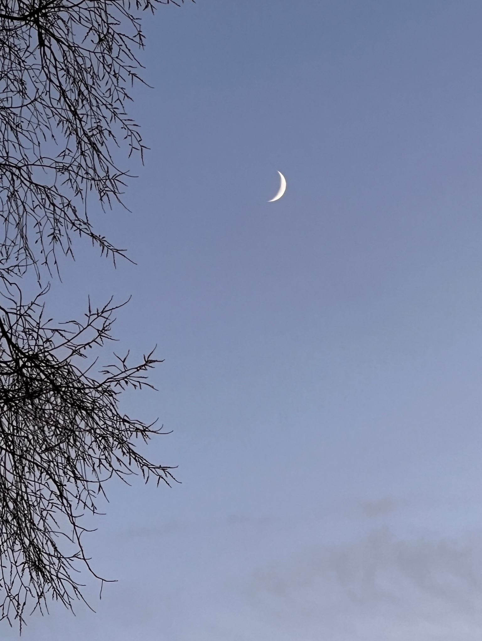 Community photo by Sudhir Sharma | Stormville, NY