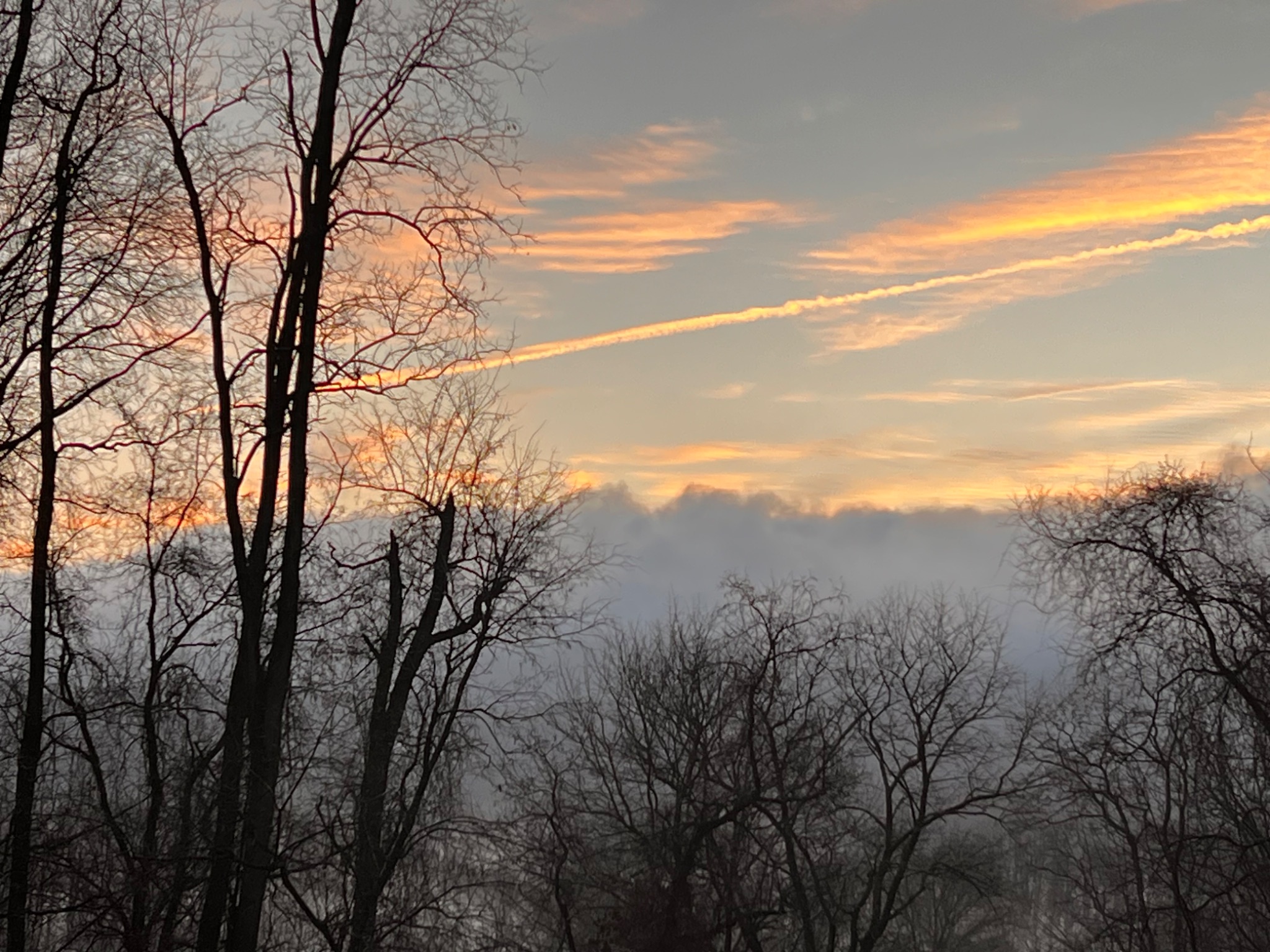 Community photo by Sudhir