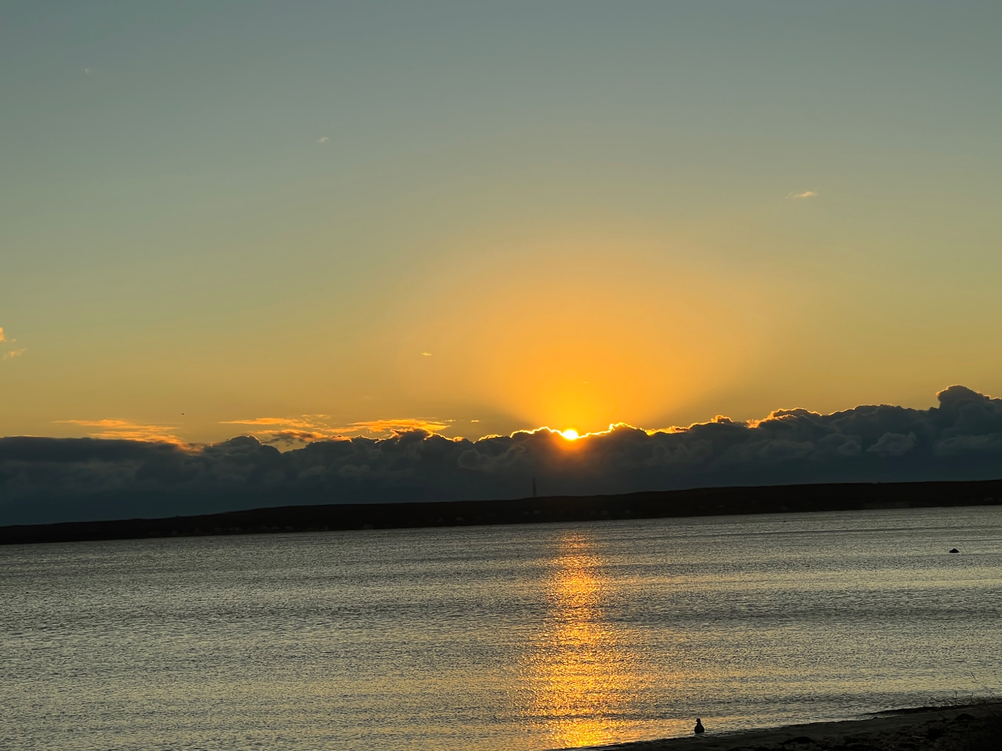 Community photo by Sudhir