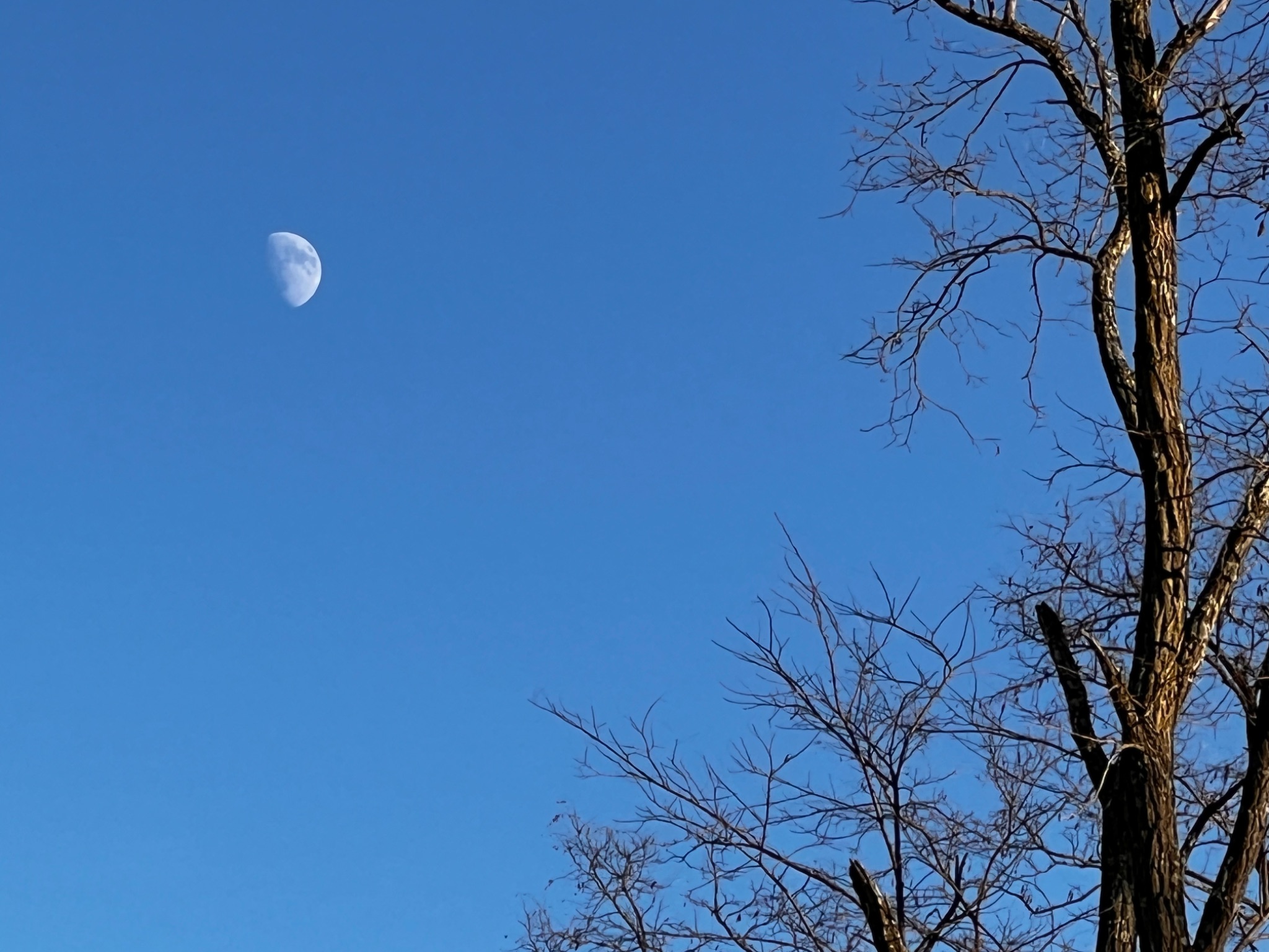 Community photo by Sudhir