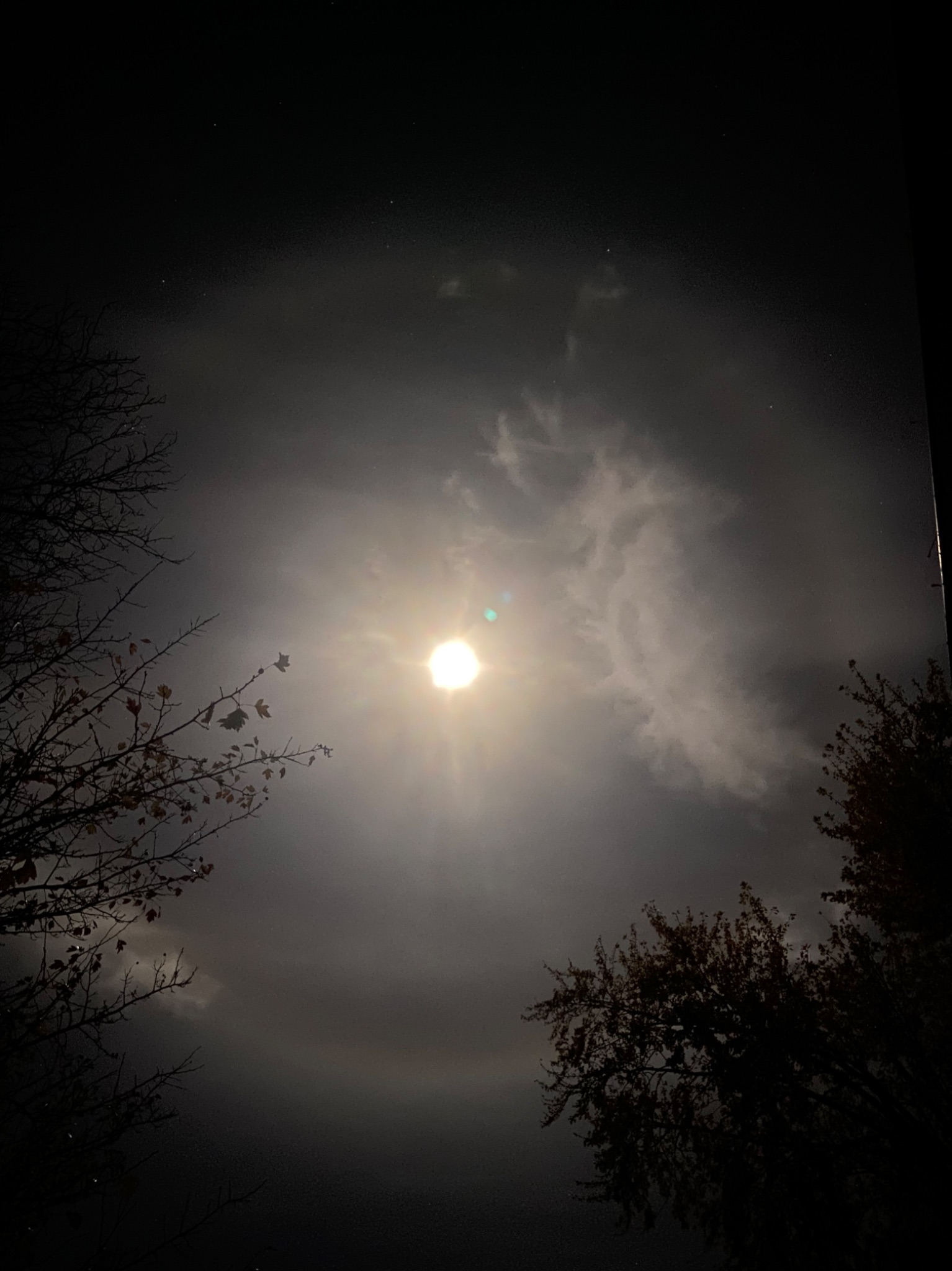 Community photo by Andrea Howard | Kemptville, Ontario, Canada