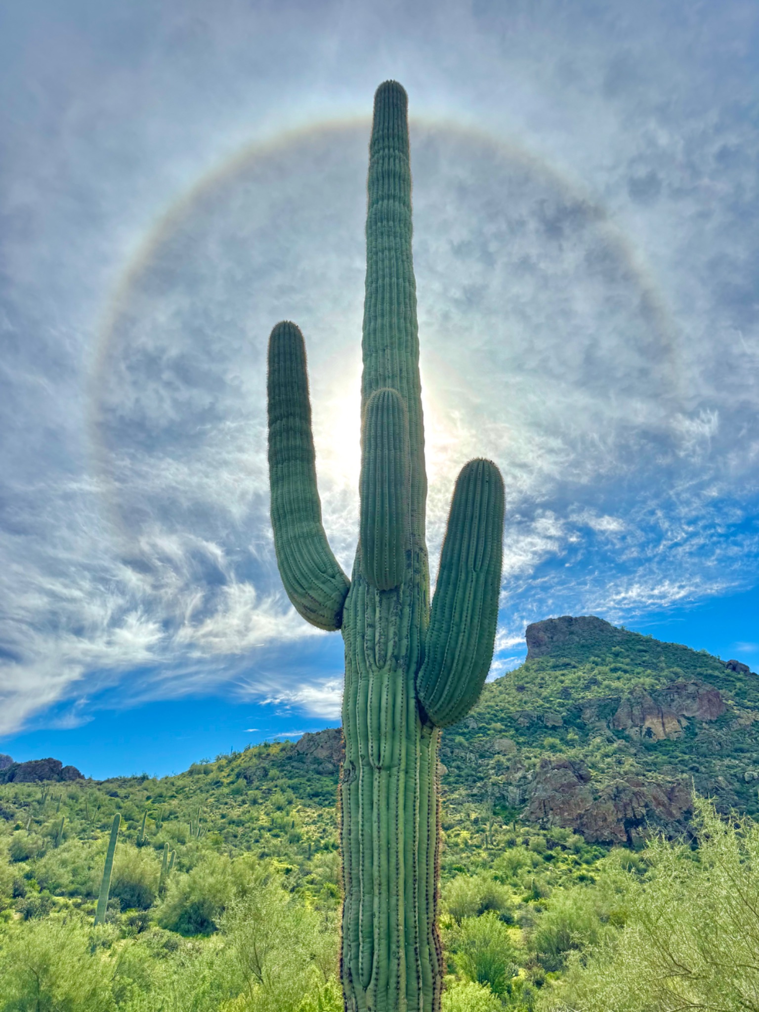 Community photo by Kelly Kizer Whitt | Saguaro Lake near Phoenix, AZ