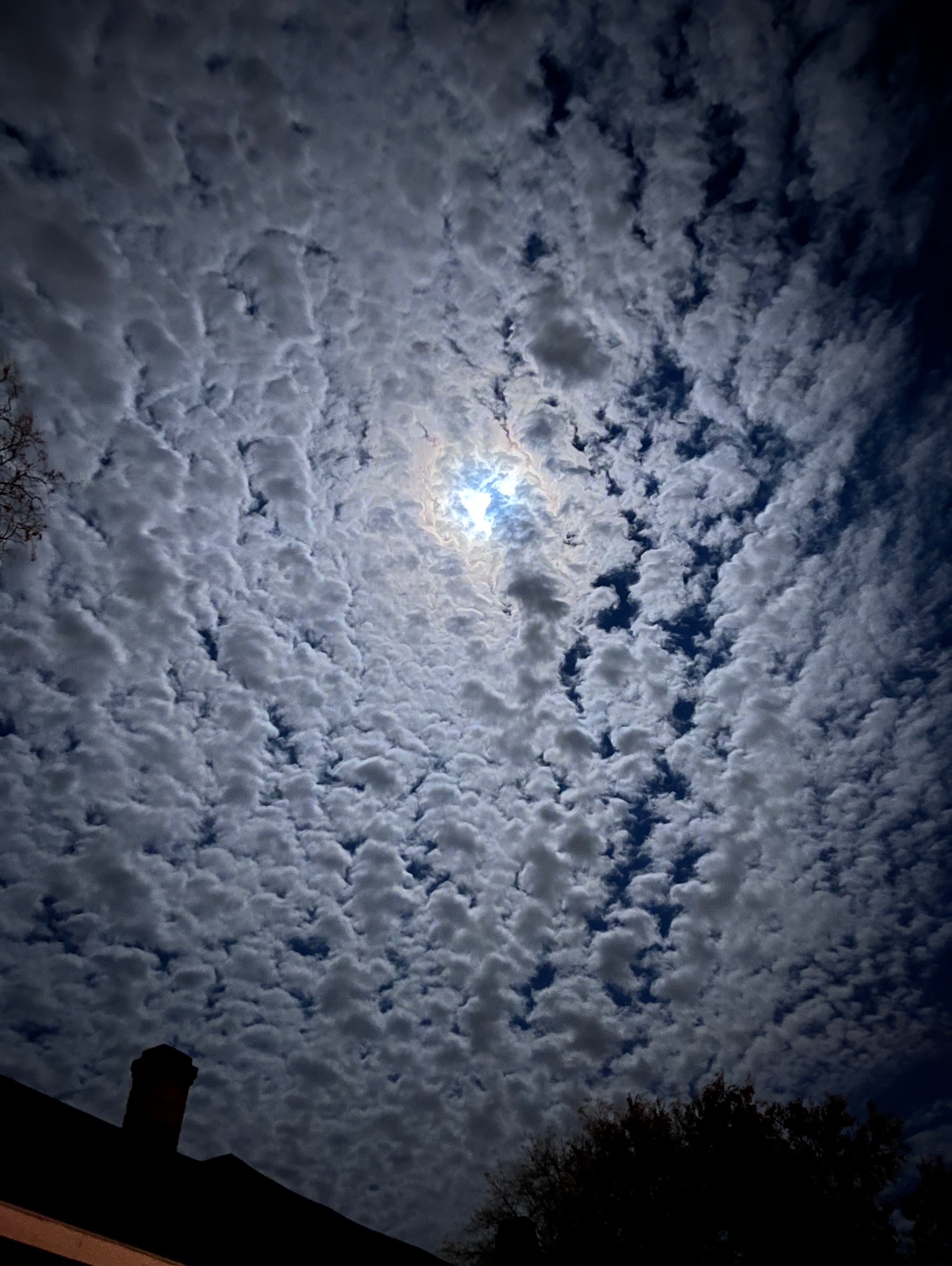 Community photo by Nigeria