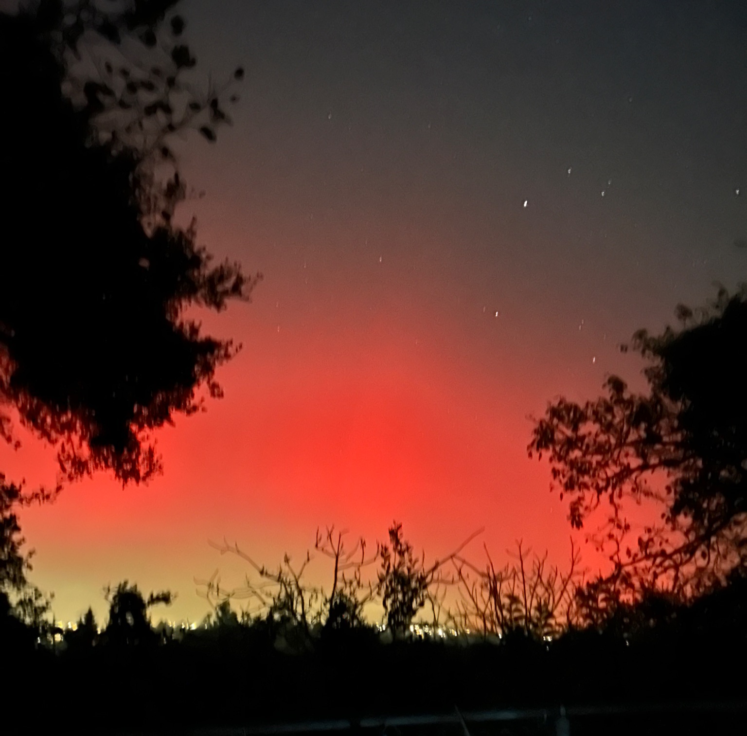 Community photo by Martie