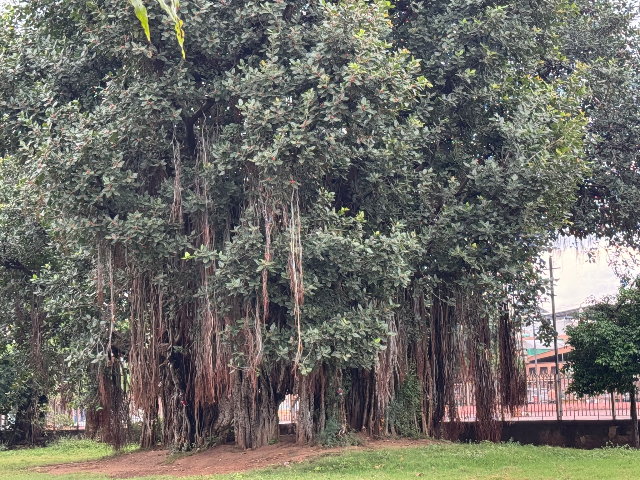 Community photo by Angara Venkata Subrahmanyam | Adalaj ni Vav, Gujarat, India