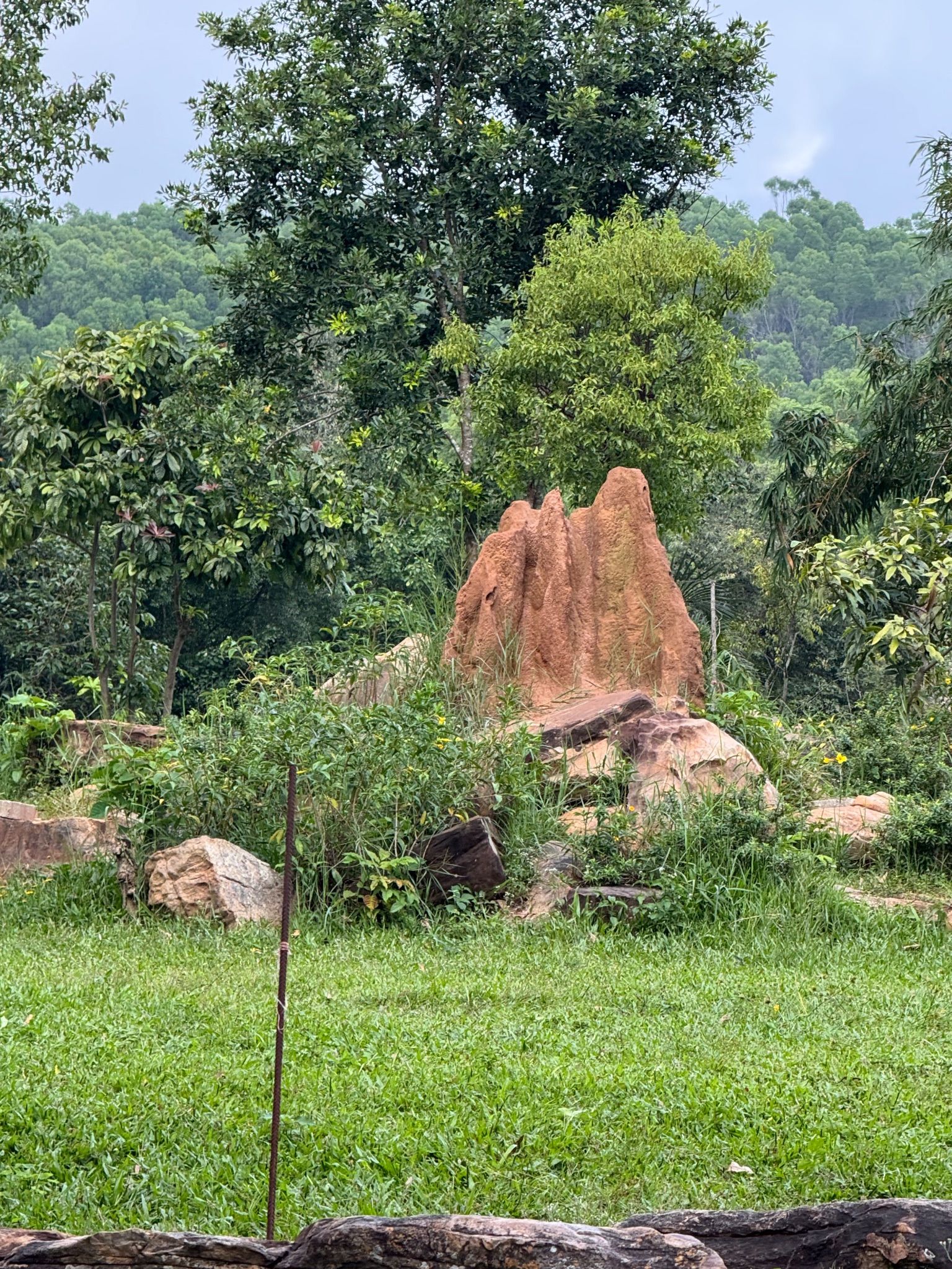 Community photo by Angara Venkata Subrahmanyam | Tirumala, Andhra Pradesh, India