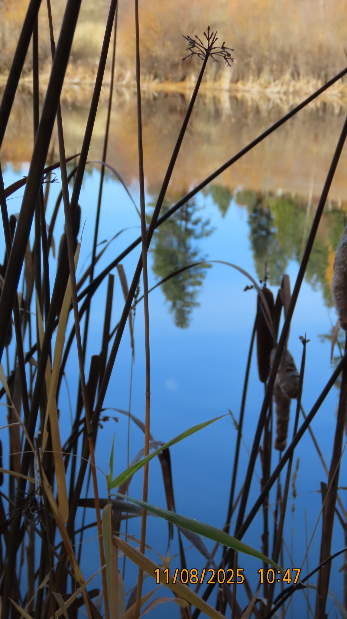 Community photo by Martha