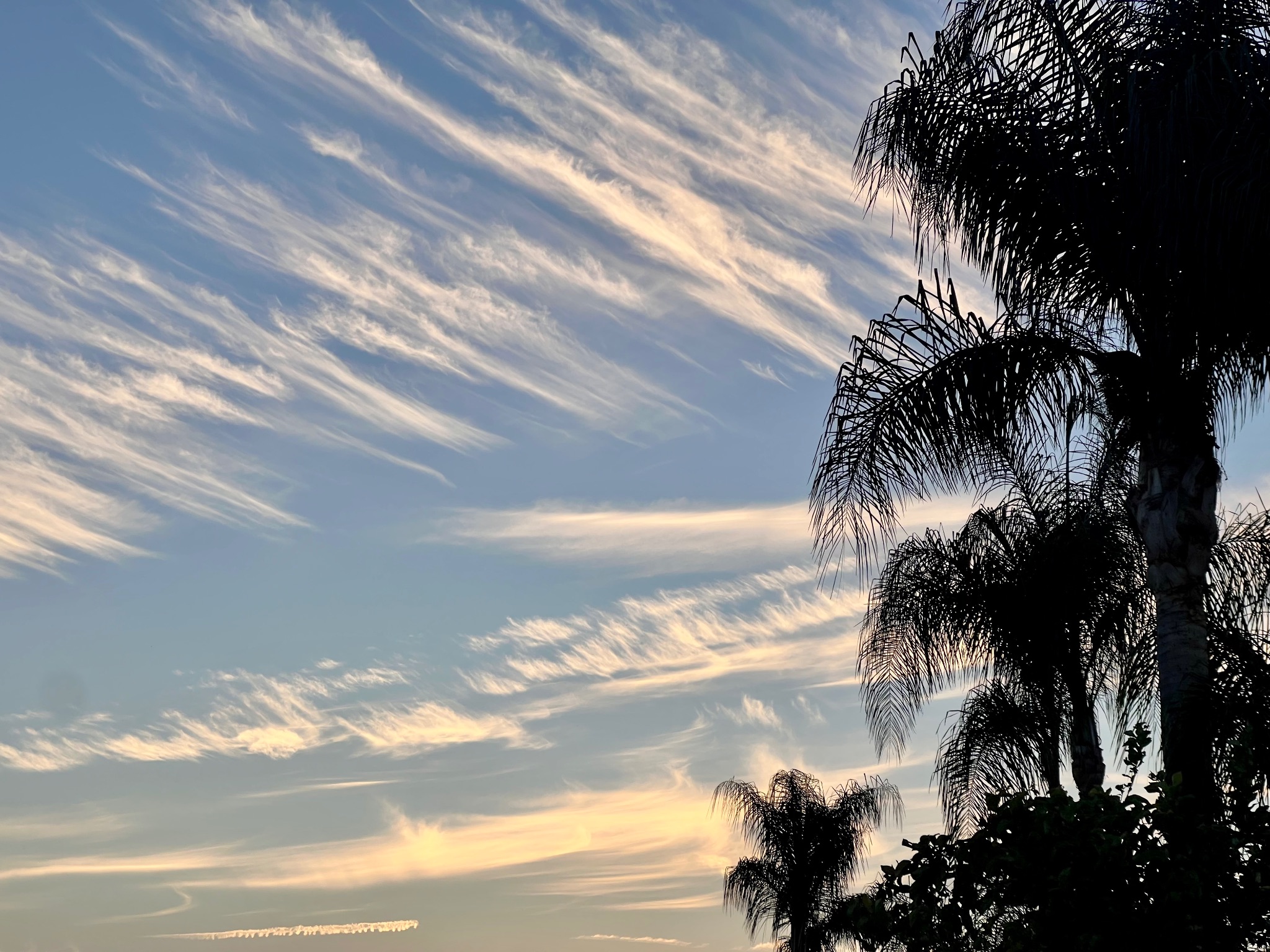 Community photo by Dolores Moreno | Highland, CA