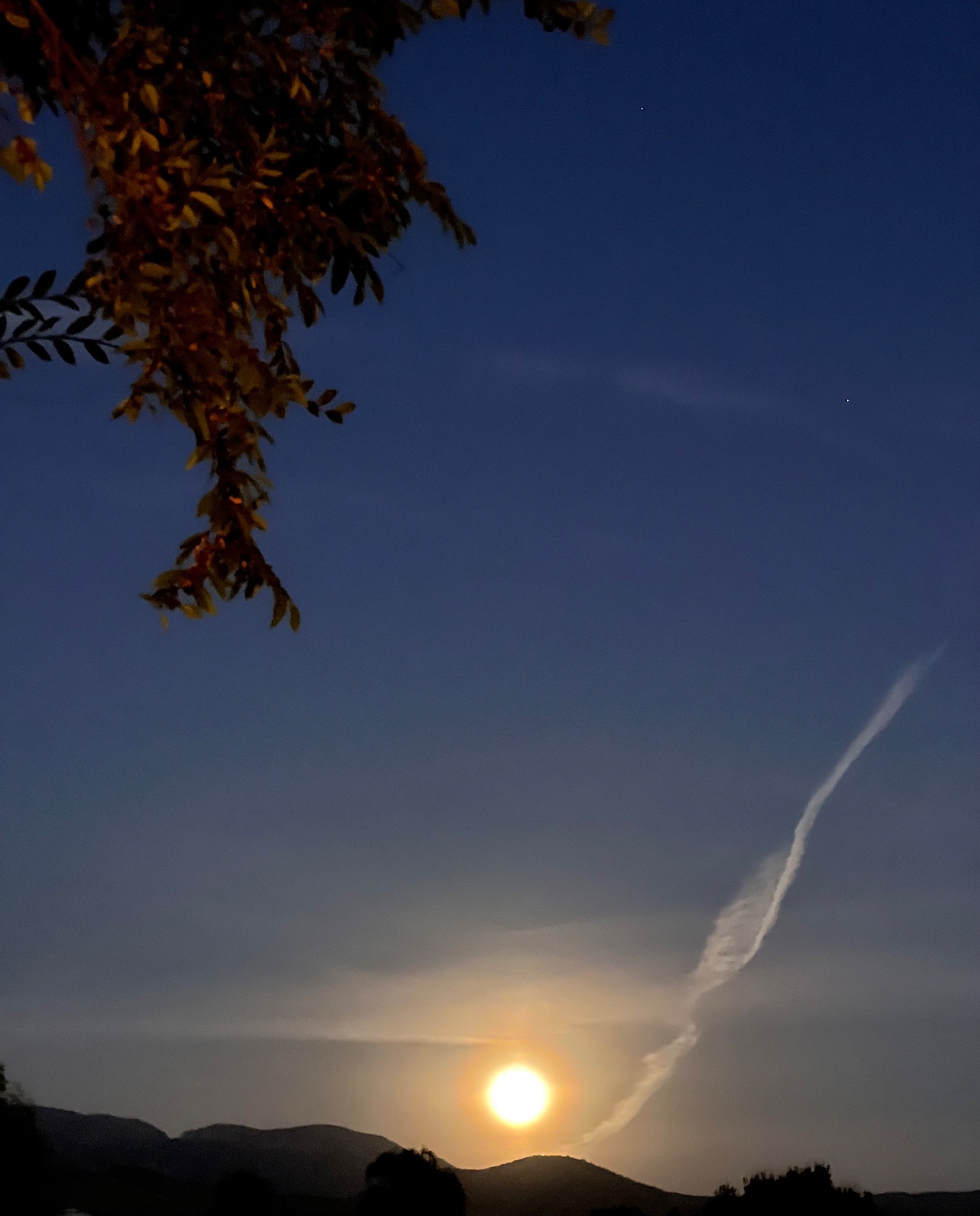 Community photo by Dolores Moreno | Highland, CA