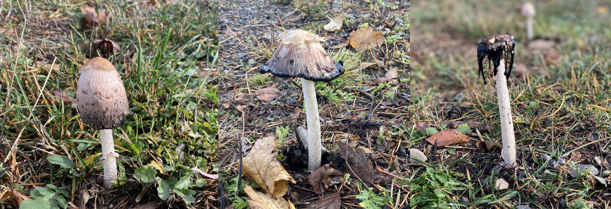 Community photo by Mac