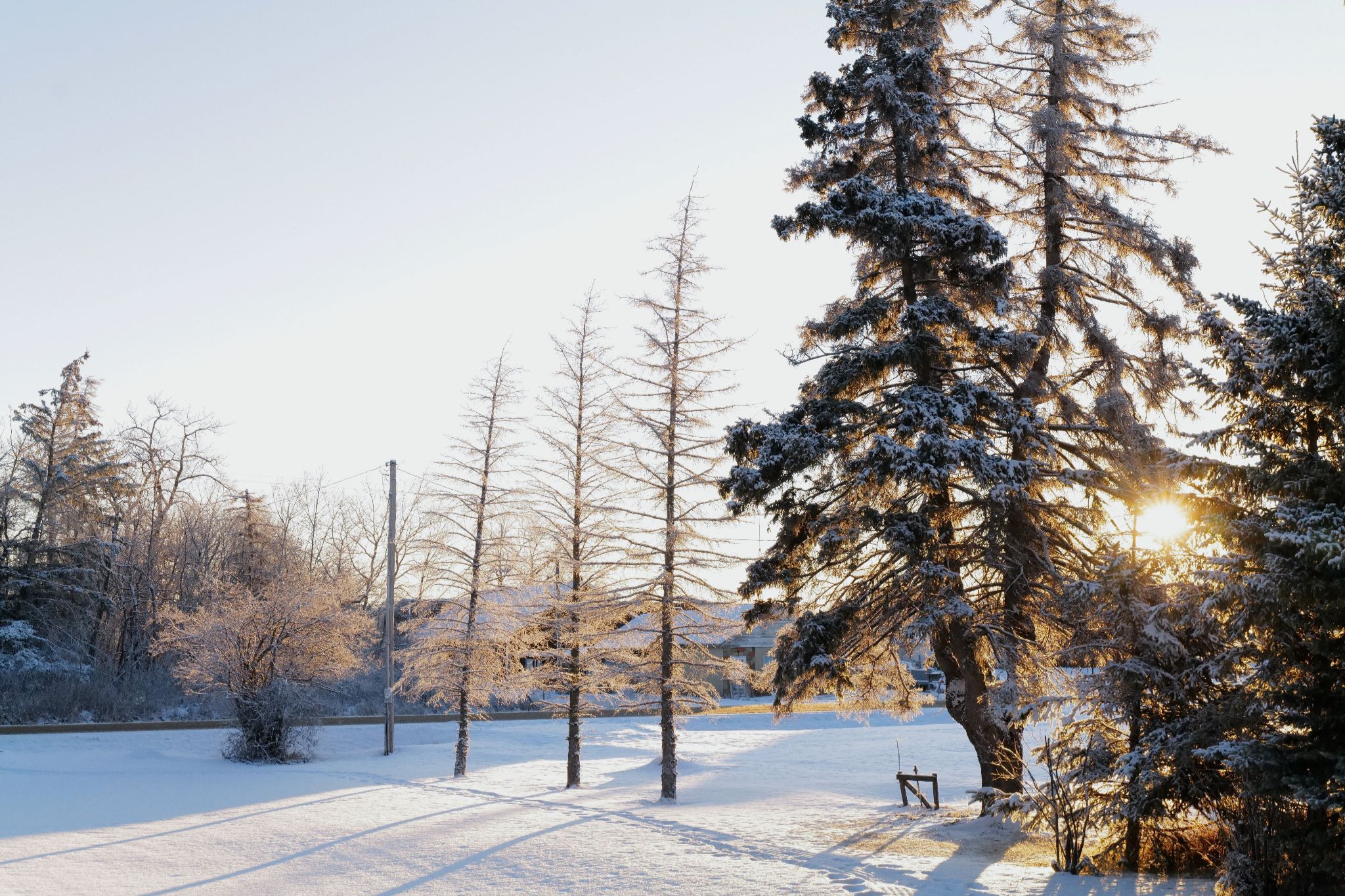 Community photo by Elmarie