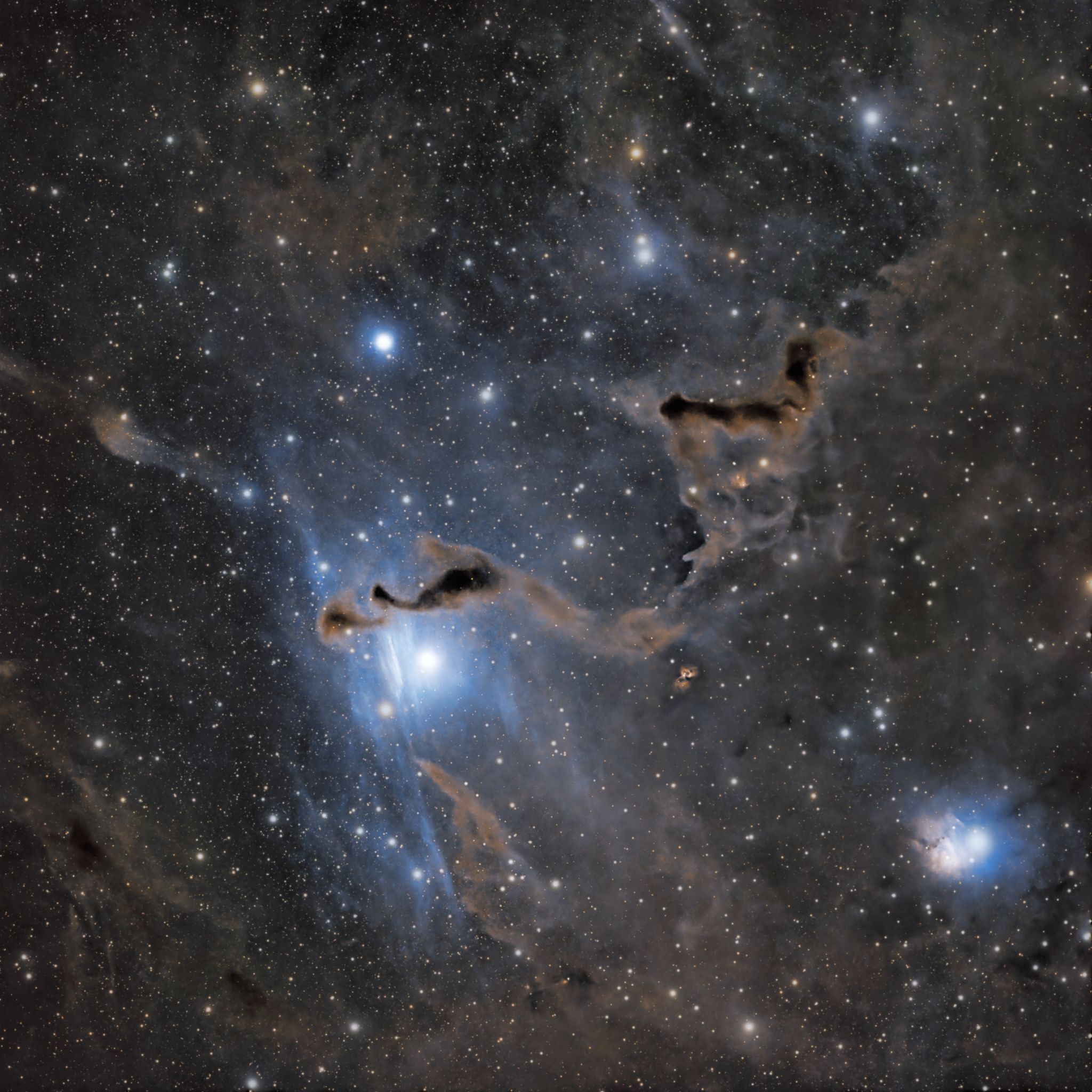 Community photo by Steven Bellavia | Oliverea-Big Indian Valley, NY