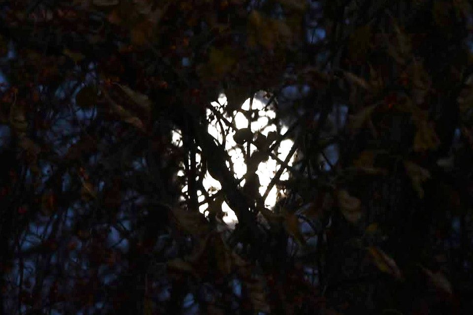 Community photo by Lorraine