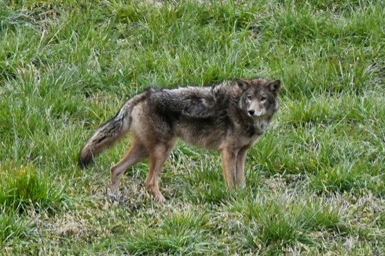 Community photo by Lorraine