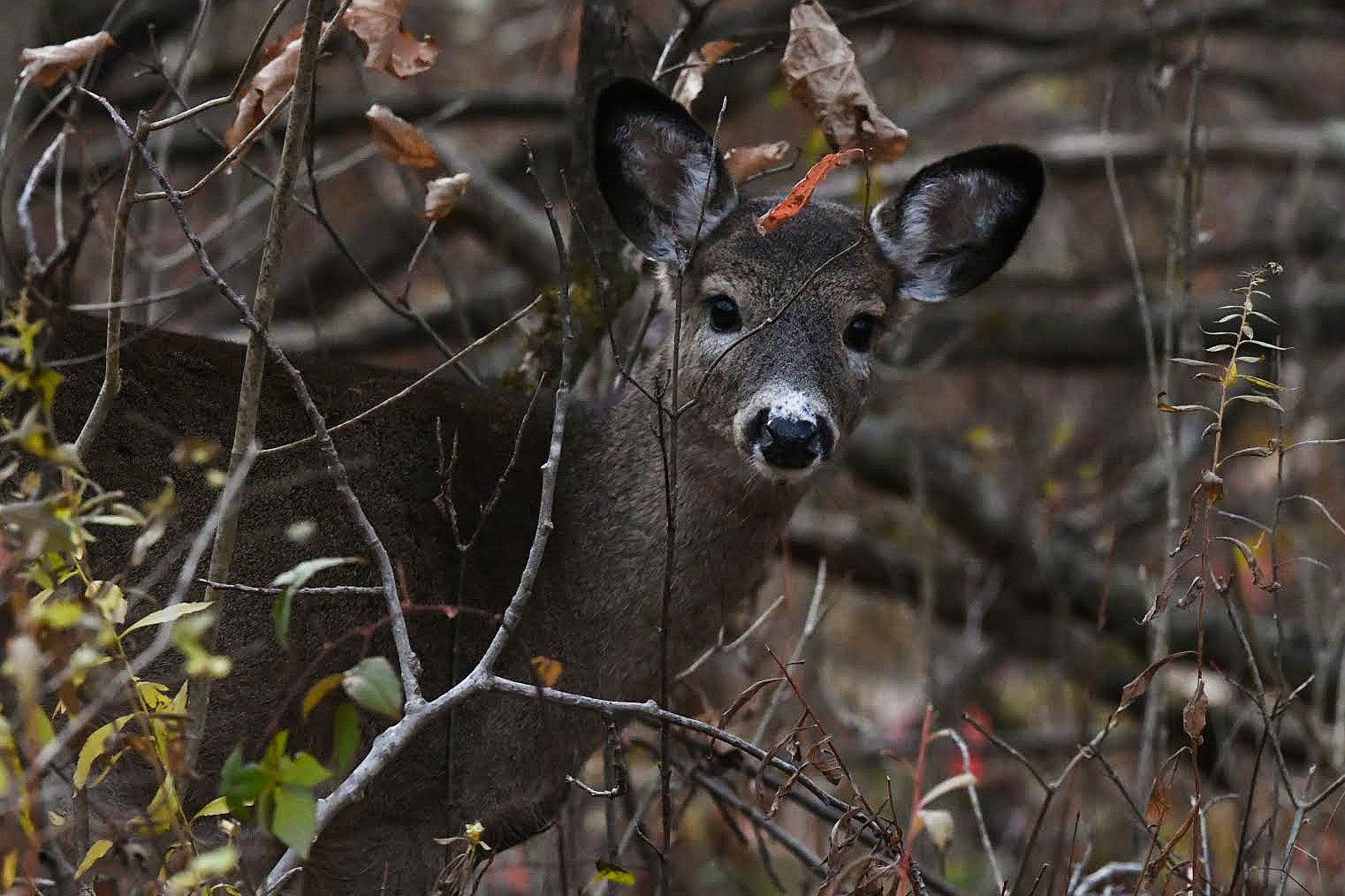 Community photo by Lorraine